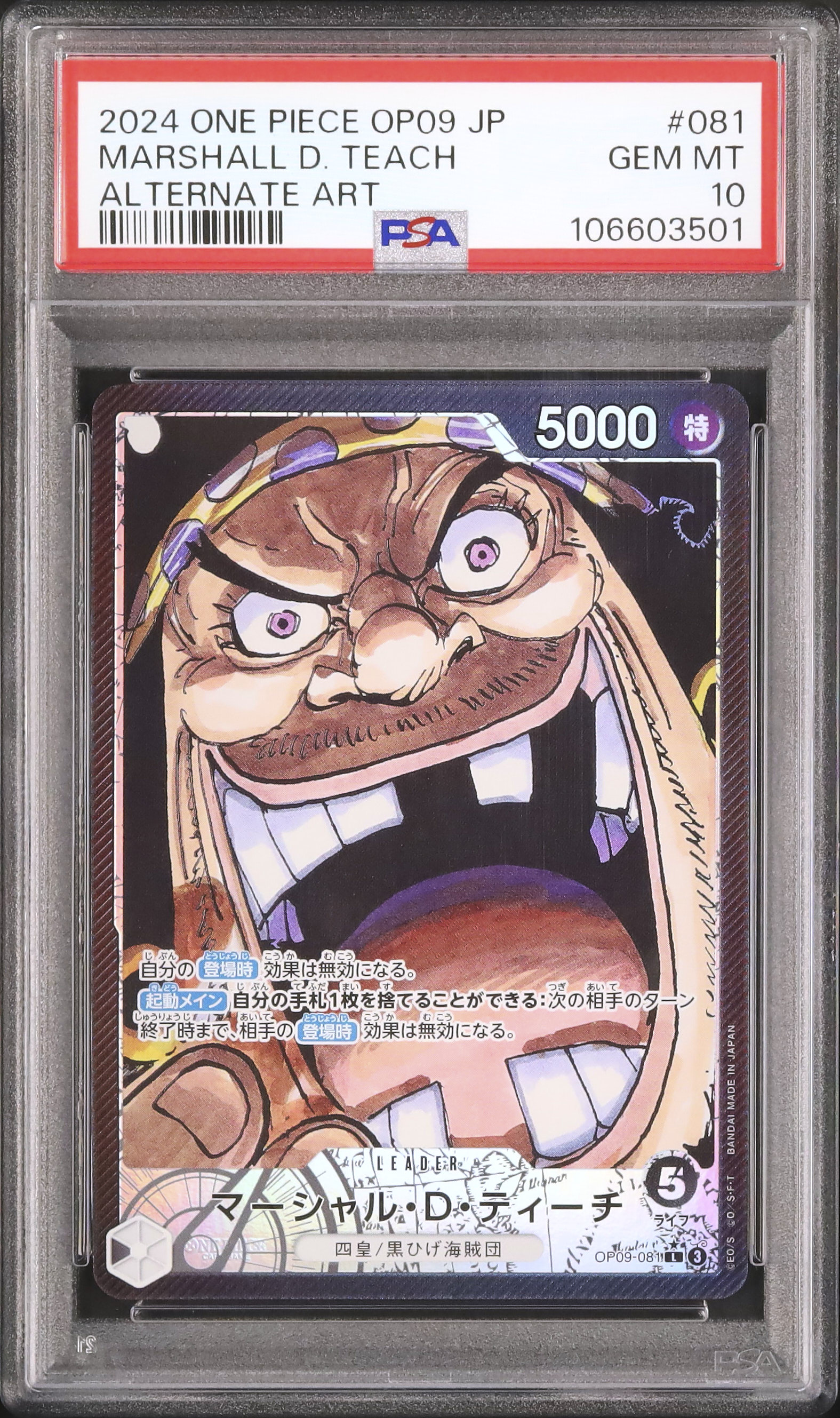 2024 マーシャル・D・ティーチ PSA 10 絵違い - カルドバ