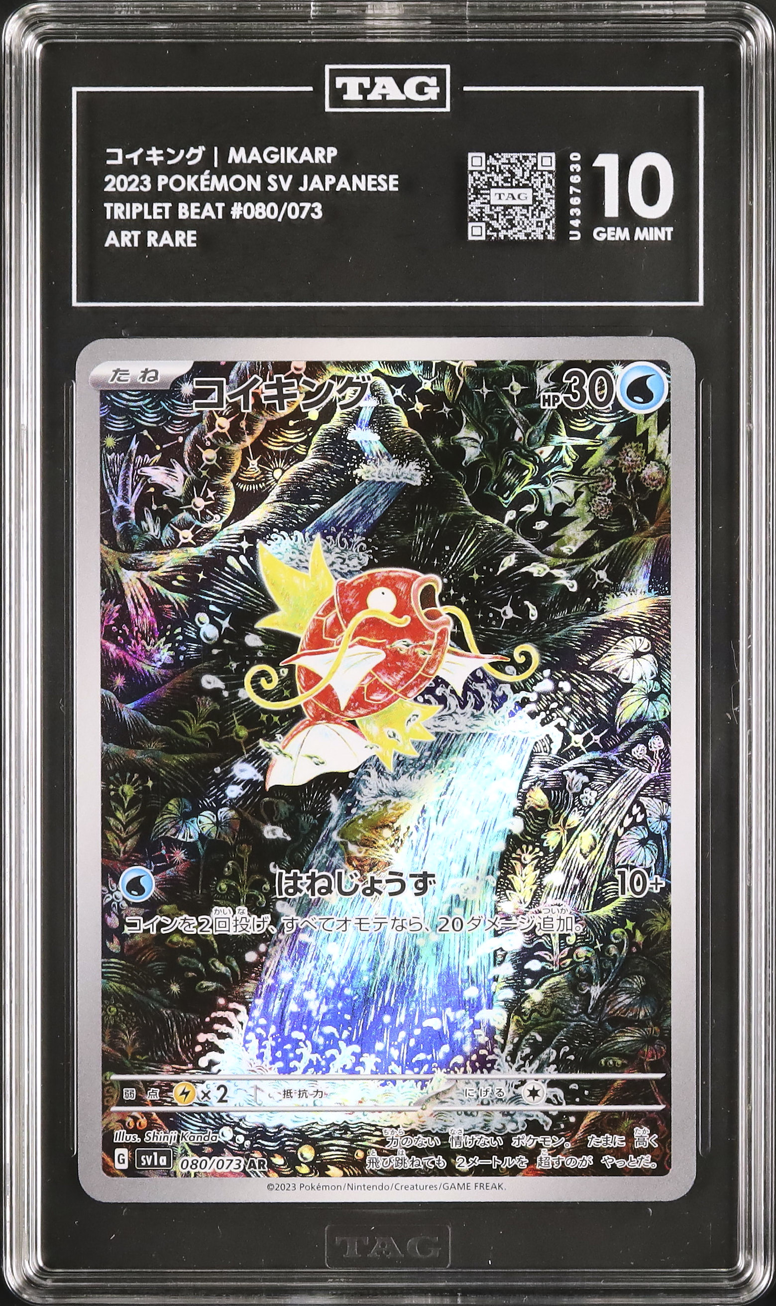 ポケモンカード ポケモンパルシティ コイキング&エビワラー 3 2023 コイキング TAG 10 - カルドバ