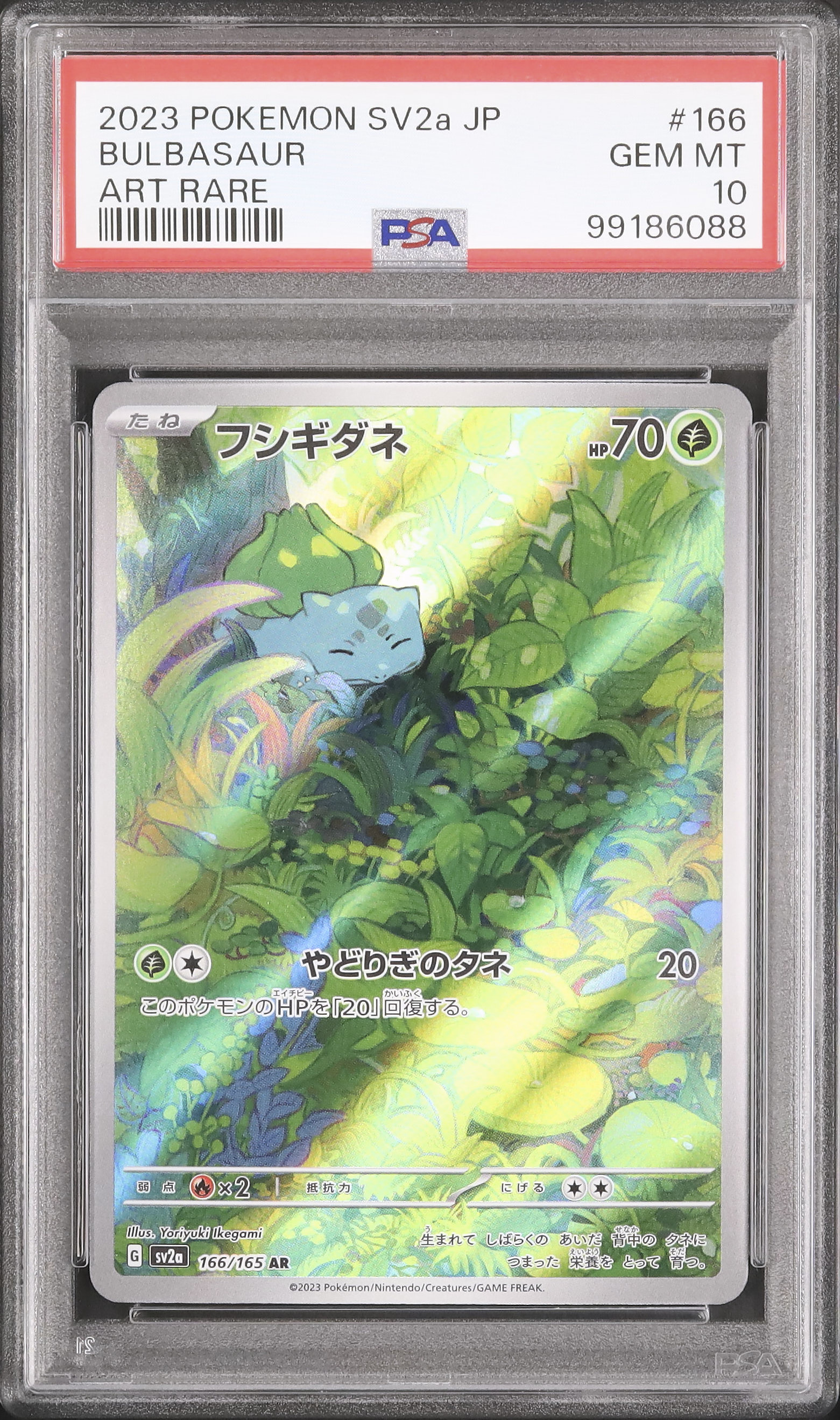 2023 フシギダネ PSA 10 - カルドバ