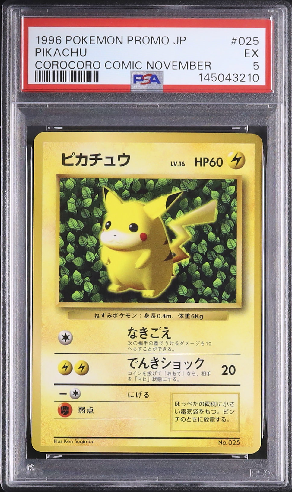 1996 Ivy Pikachu PSA 5 Glossy - Cardova Japan