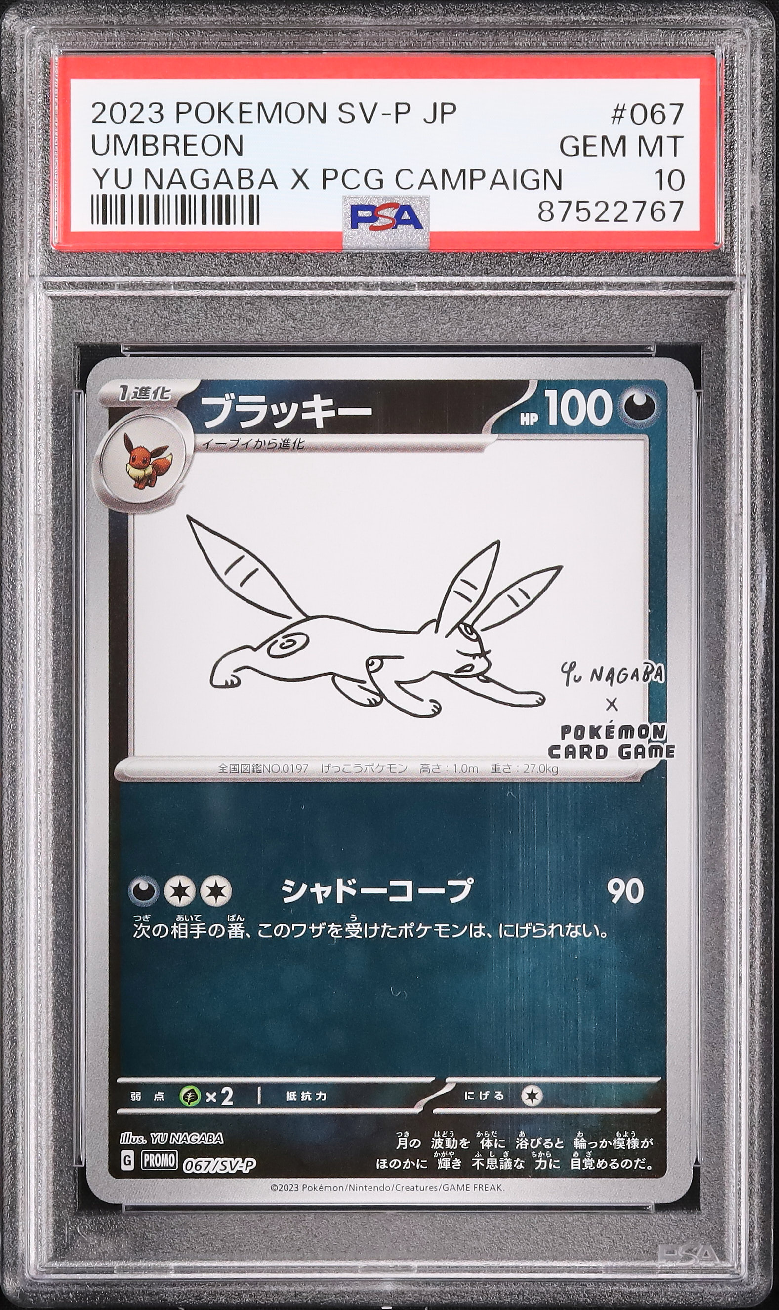 2023 ポケモンカード ブラッキー PSA10