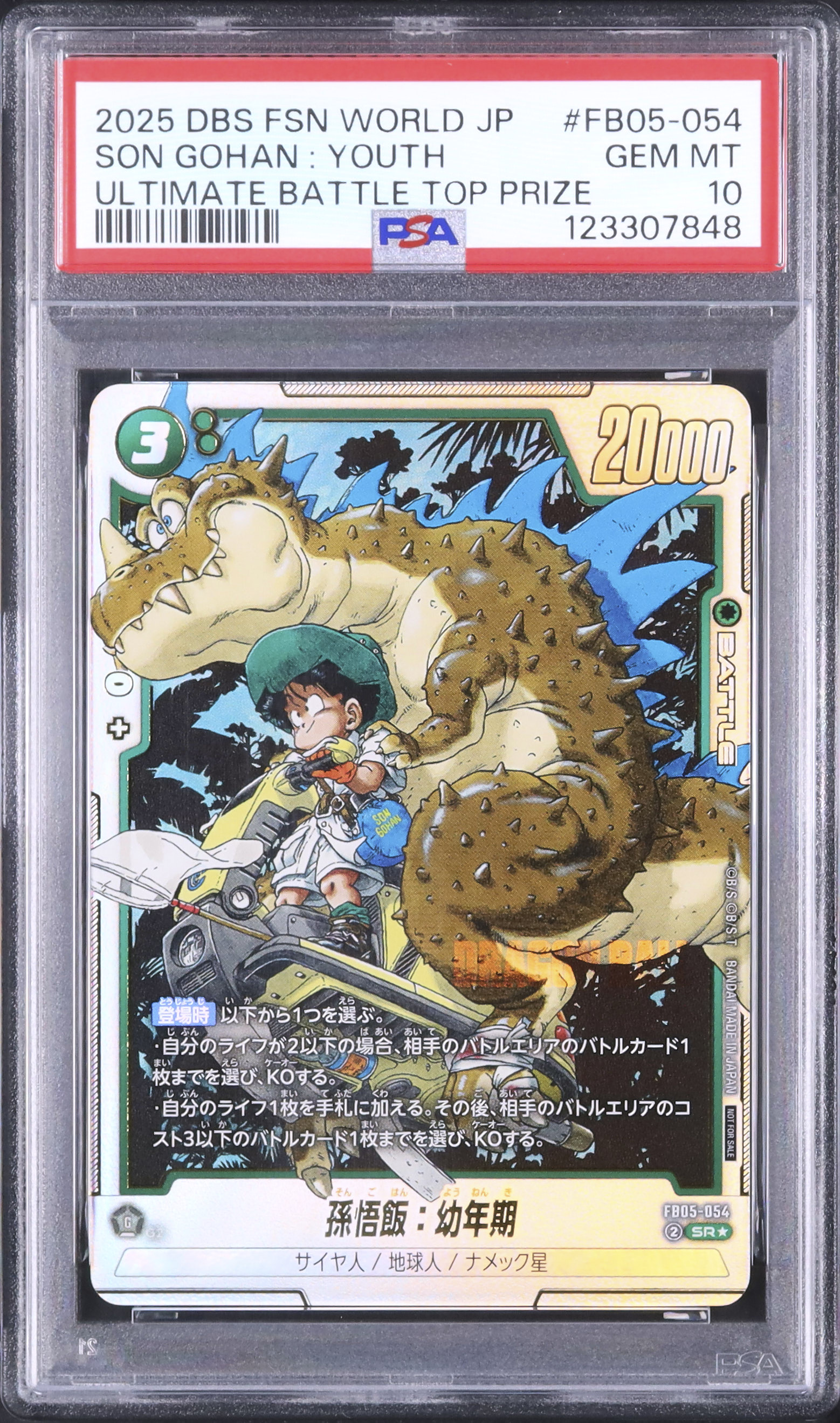 開催中のオークション - カルドバ