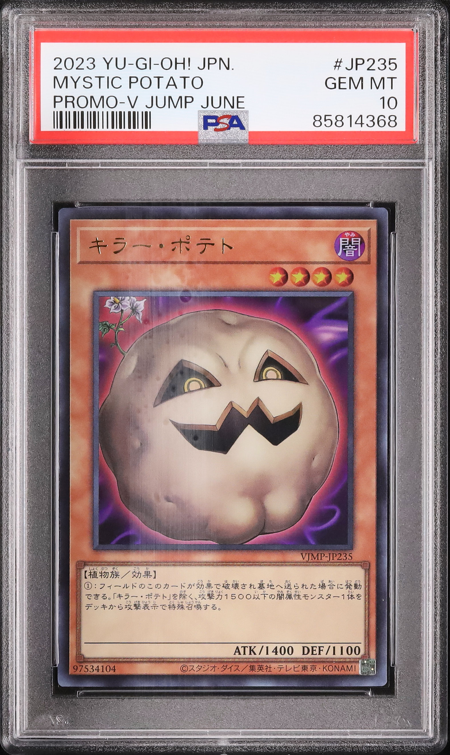 2023 キラー・ポテト PSA 10 - カルドバ