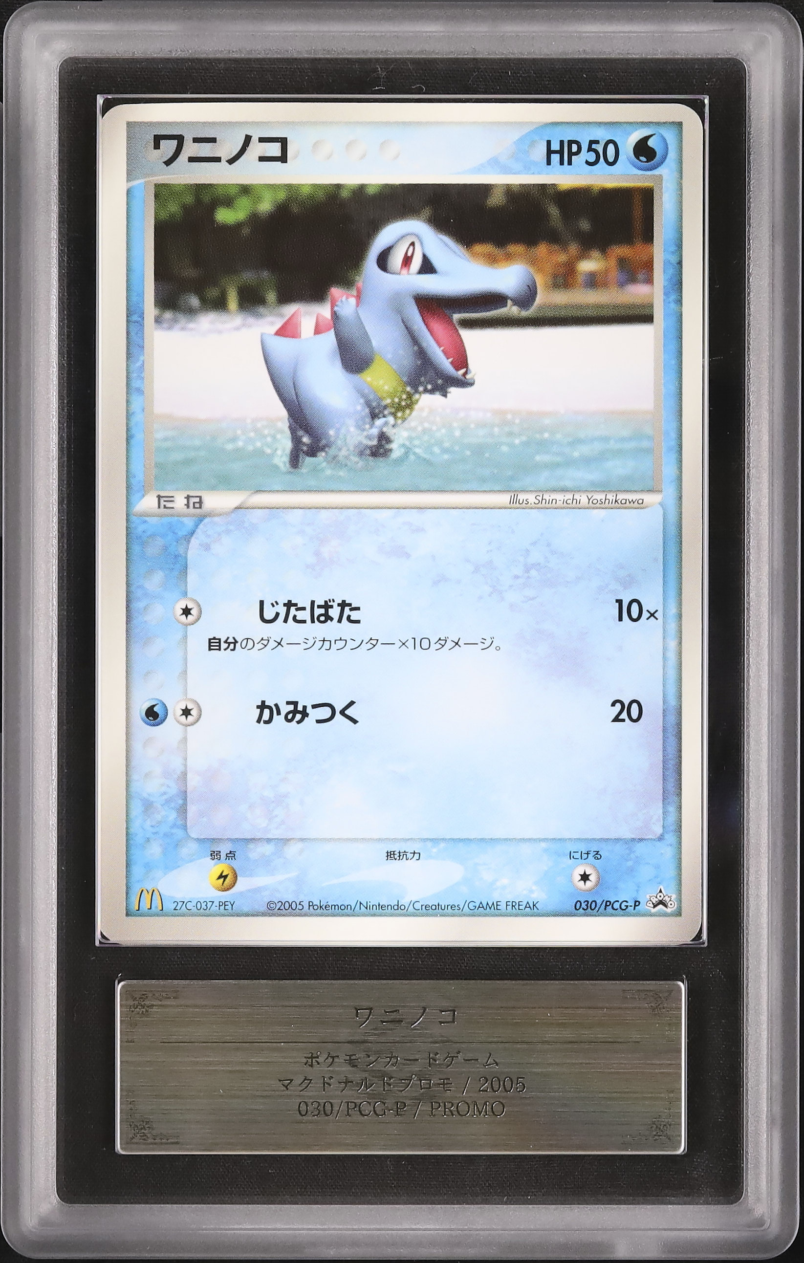 2005 ワニノコ ARS 10 - カルドバ