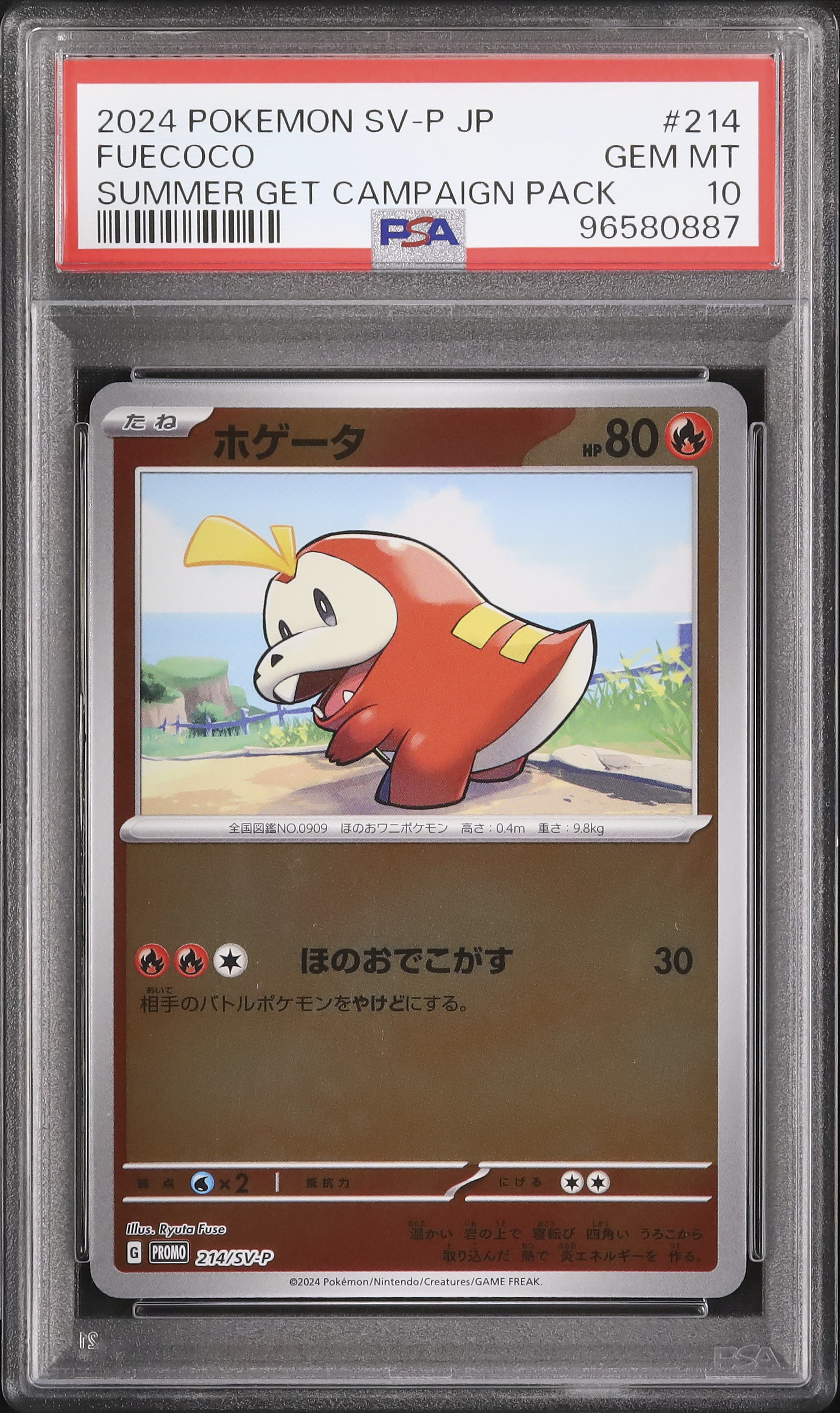 2024 ホゲータ PSA 10 - カルドバ