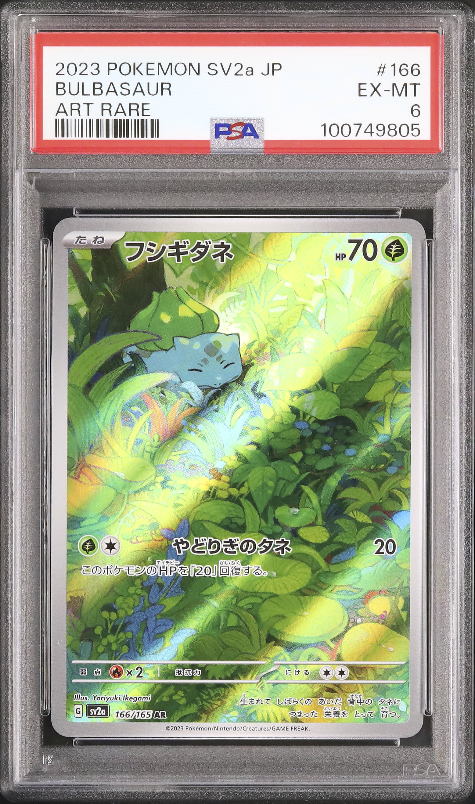 フシギダネ　ポケモンチャンネル　Nice Card フシギダネ🌱✨ #PTCGIC2022 #ポケカ #ポケモンカード