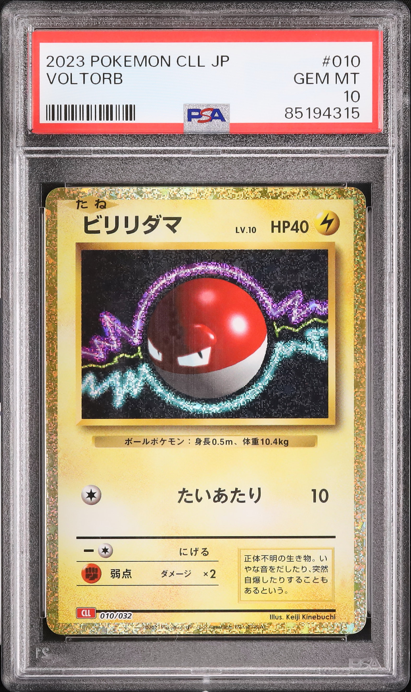 ビリリダマ　psa10 2023 ビリリダマ PSA 10 - カルドバ