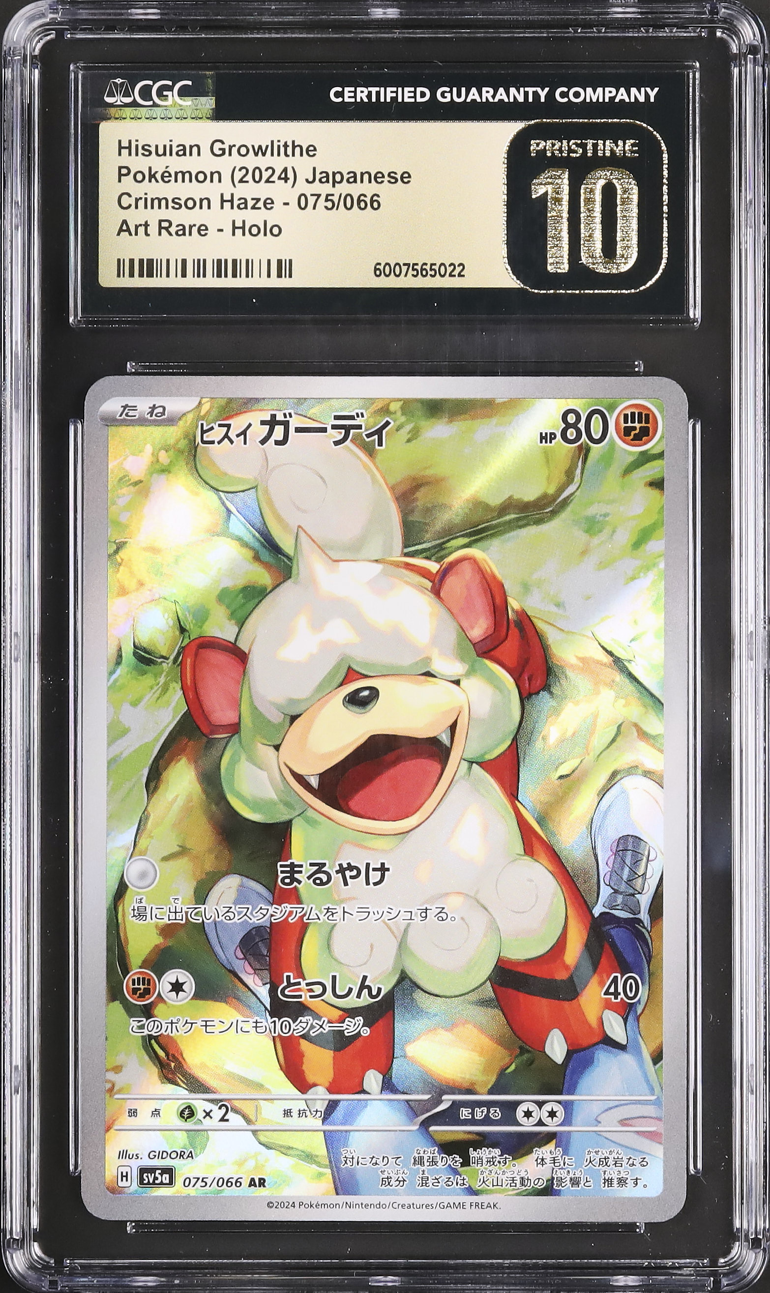 2024 Hisuian Growlithe CGC 10 - Cardova Japan