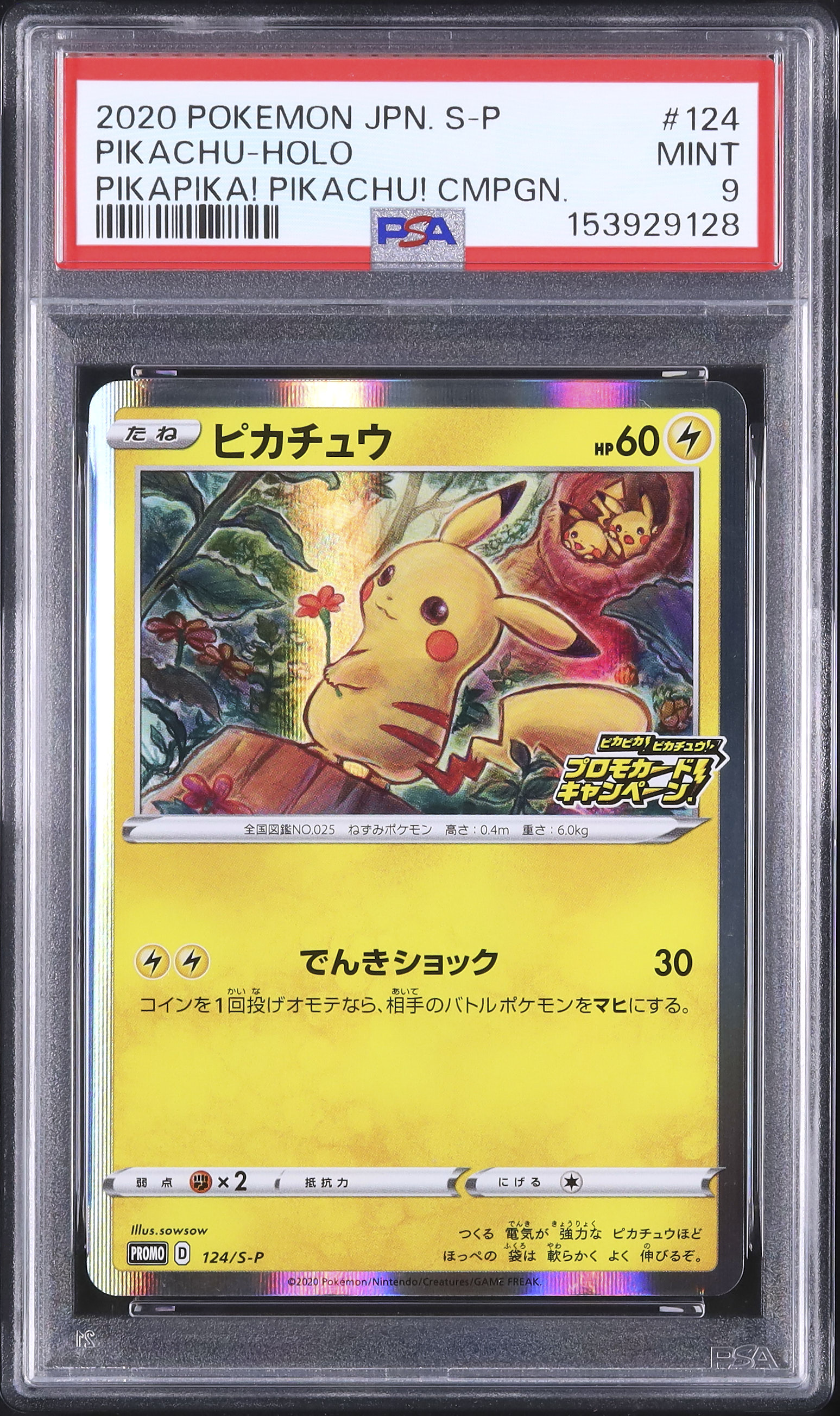 2020 ピカチュウ PSA 9 ホロ - カルドバ