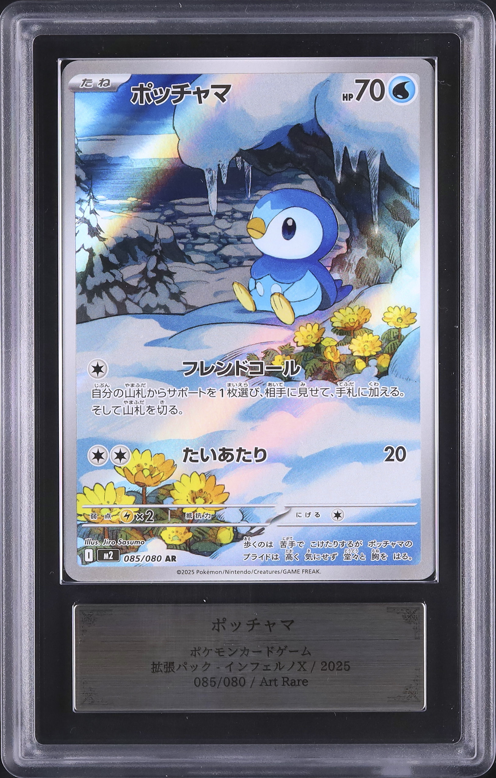 2025 Piplup ARS 9 - Cardova Japan