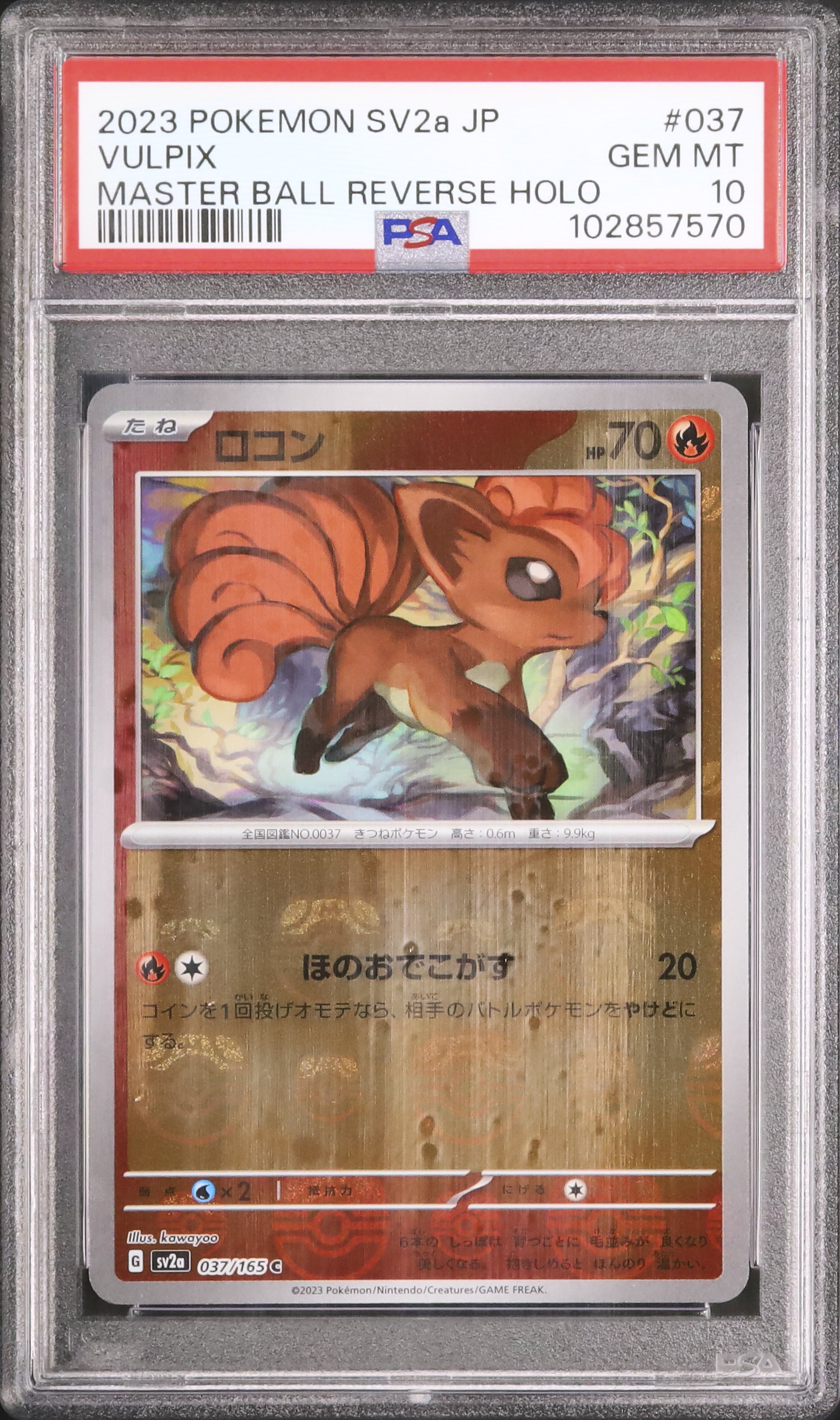 2023 ロコン PSA 10 マスターボール - カルドバ