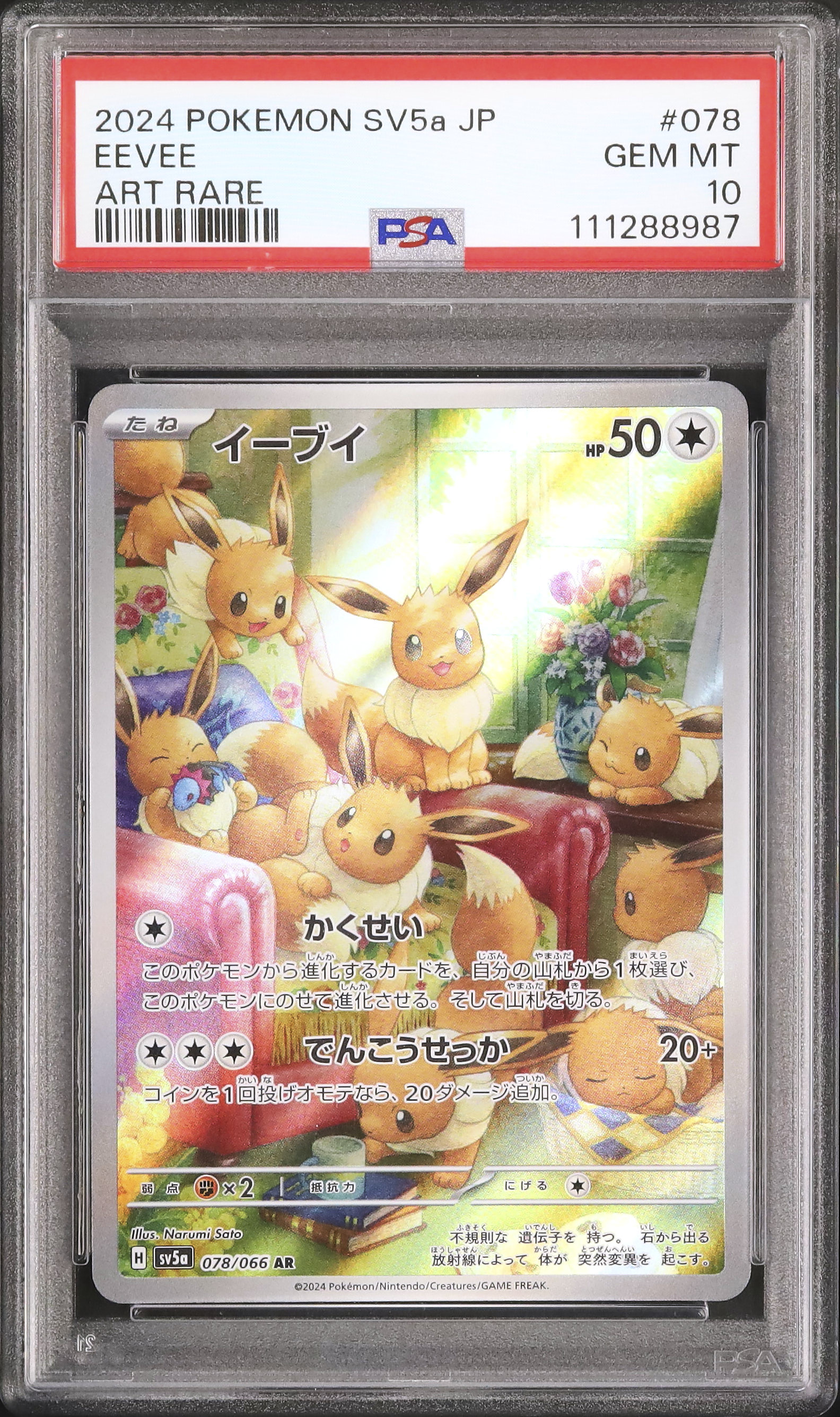 psa10 2024 ポケモンカード イーブイ ART RARE #078 2024 イーブイ PSA 10 - カルドバ