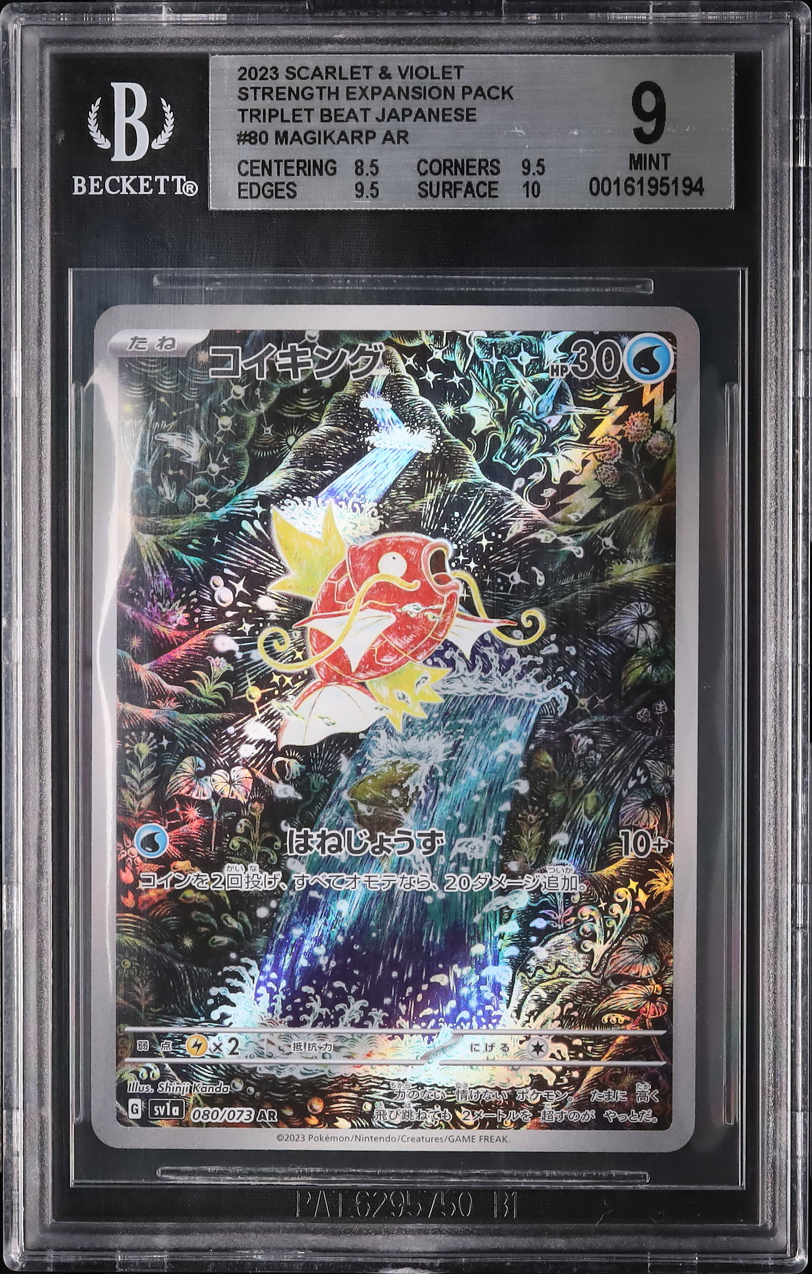 2023 コイキング BGS 9 - カルドバ