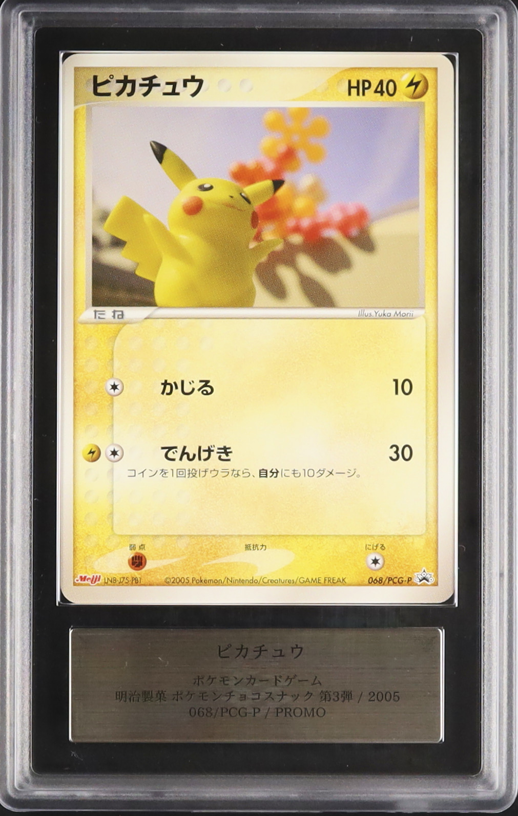 2005 ピカチュウ ARS 9 - カルドバ