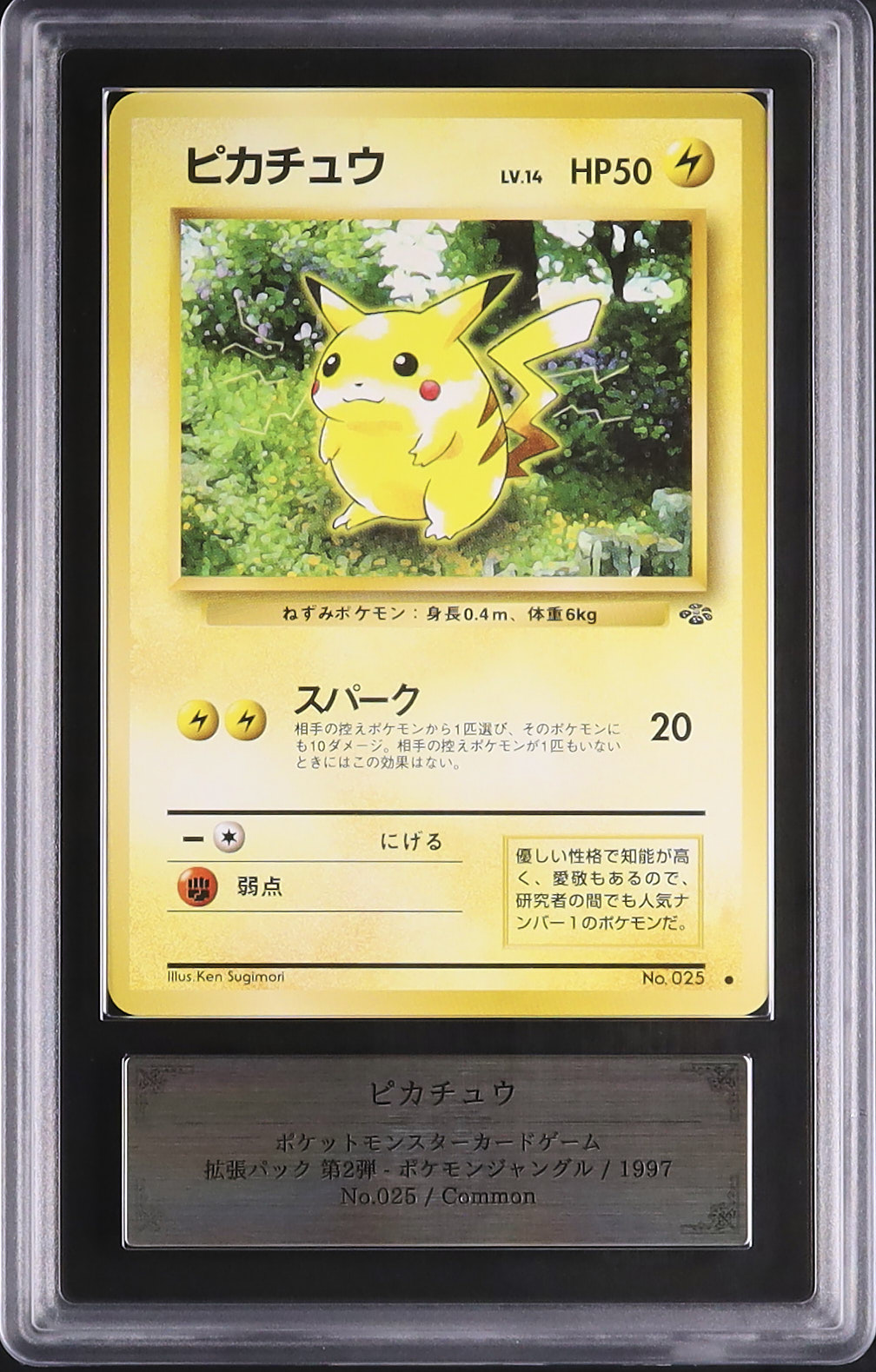 ポケモン ピカチュウ 旧裏 ポケモンジャングル ARS9 1997 ピカチュウ ARS 9 - カルドバ