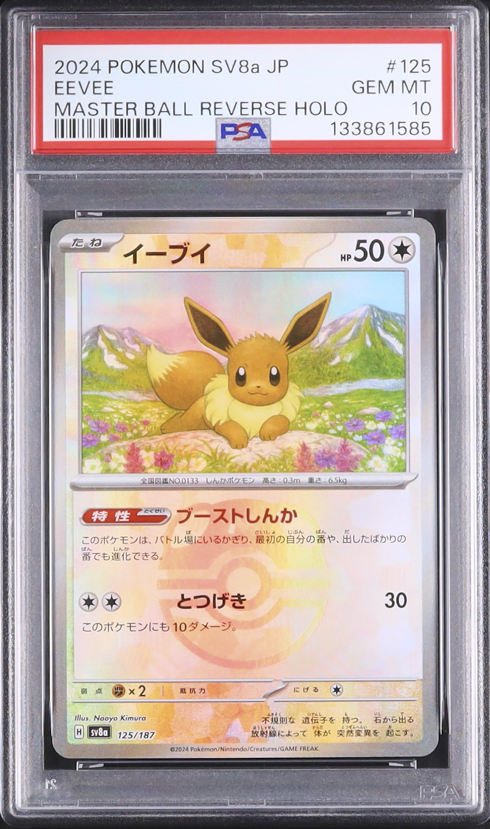 2024 ポケモンカードイーブイ ex #224 GEM MT 10 PSA10 2024 ポケモンカード イーブイex #224 GEM MT 10 【公式通販】