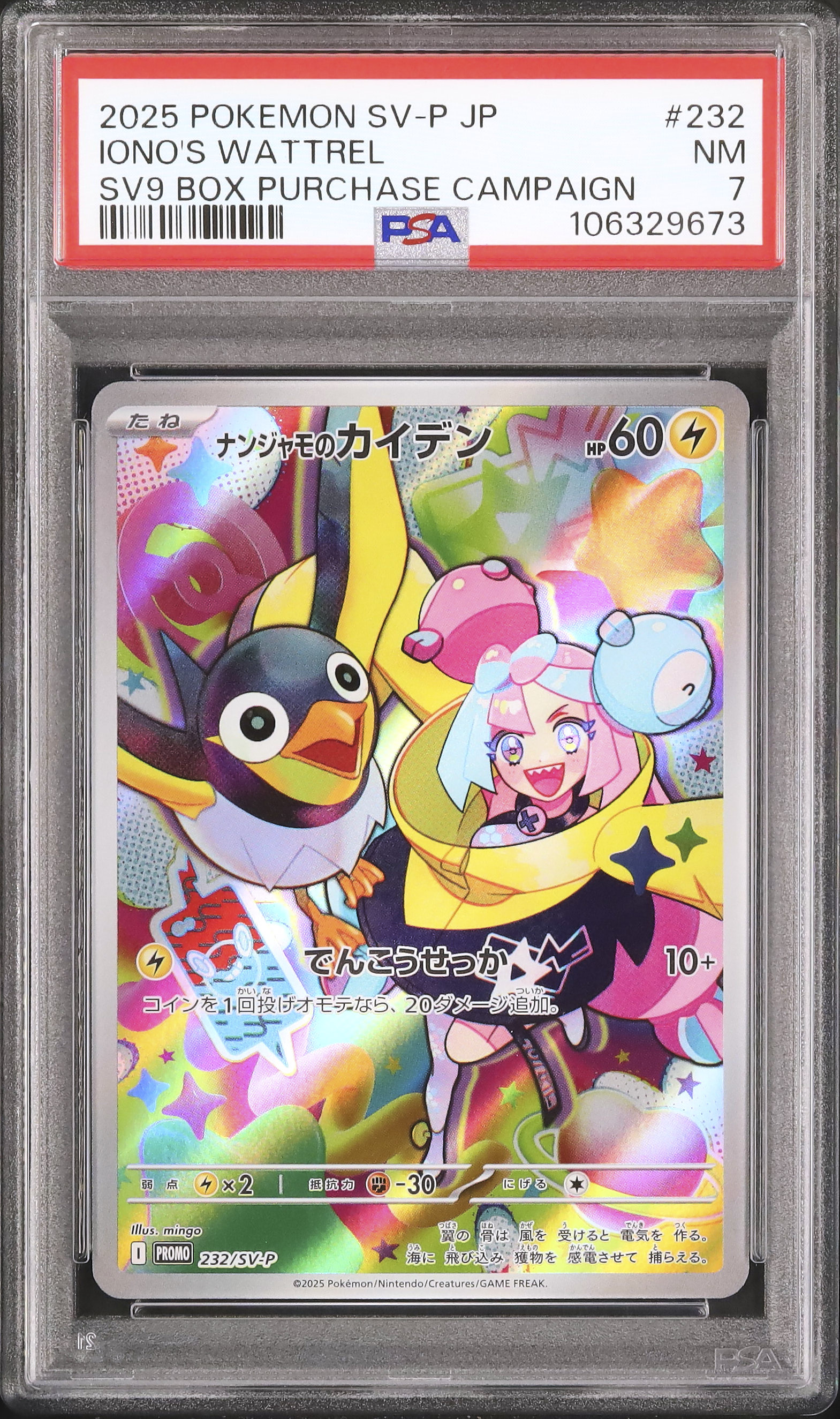 2025 ナンジャモのカイデン PSA 7 AR仕様 - カルドバ