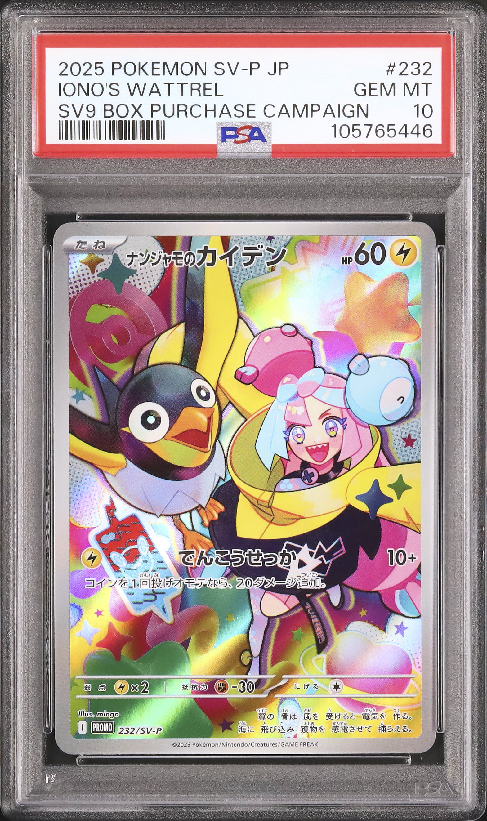 2025 ナンジャモのカイデン PSA 10 AR仕様 - カルドバ