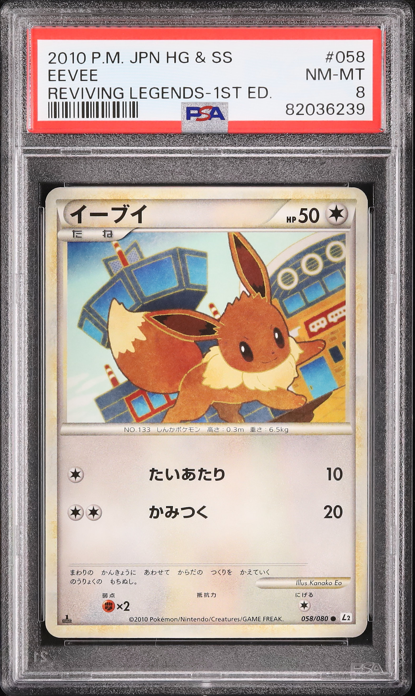 2010 イーブイ PSA 8 1st エディション - カルドバ