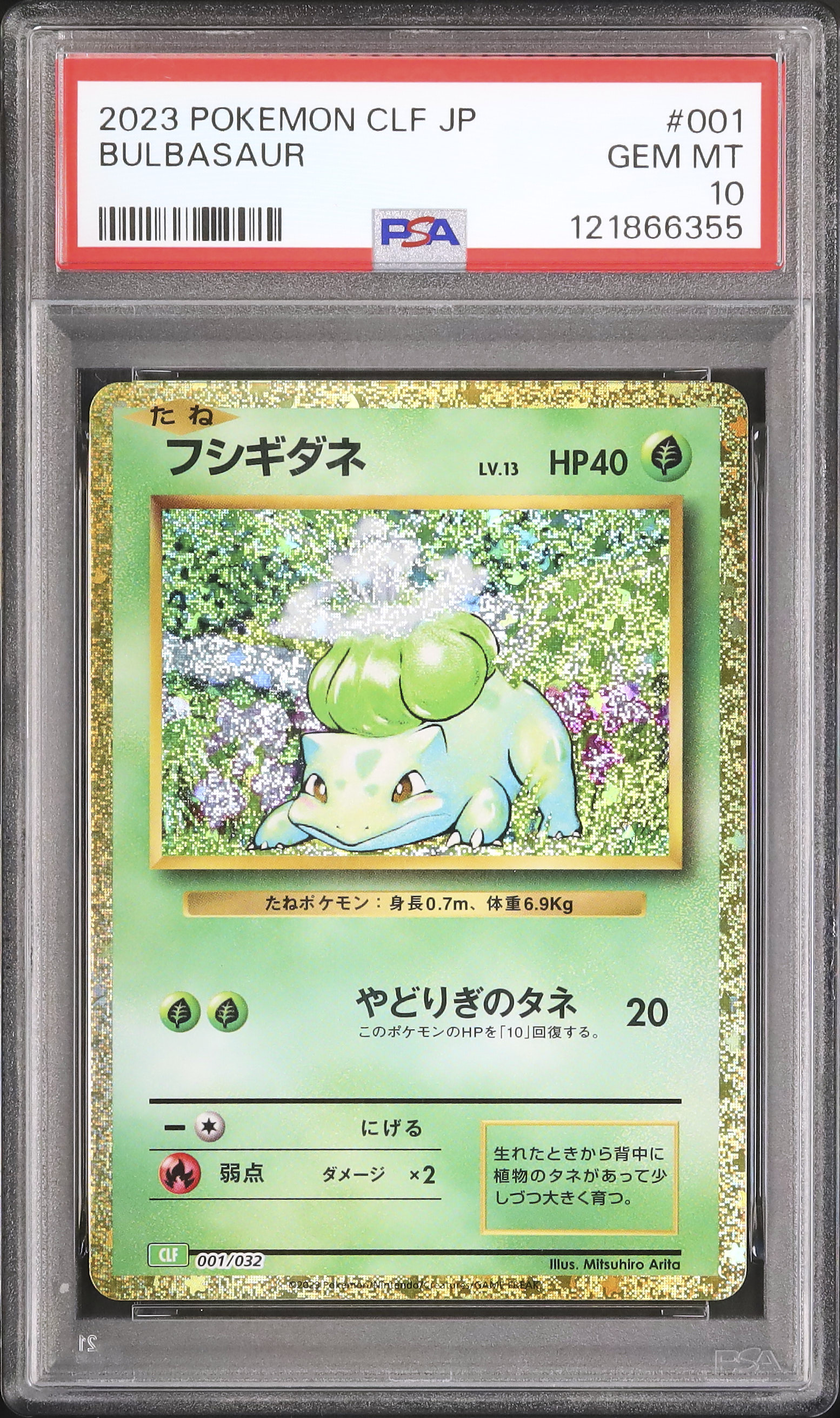 2023 フシギダネ PSA 10 - カルドバ