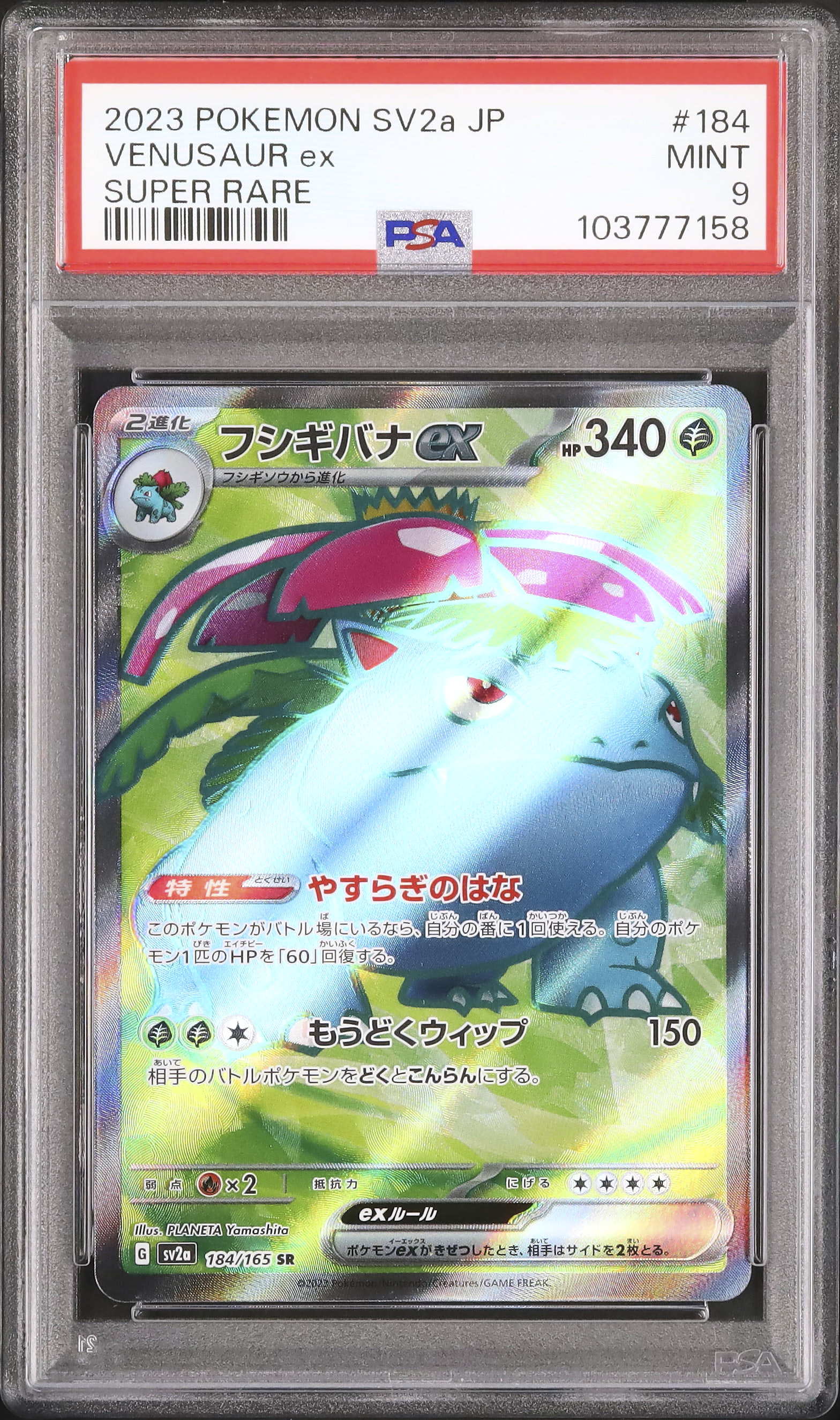 2023 Venusaur ex PSA 9 - Cardova Japan