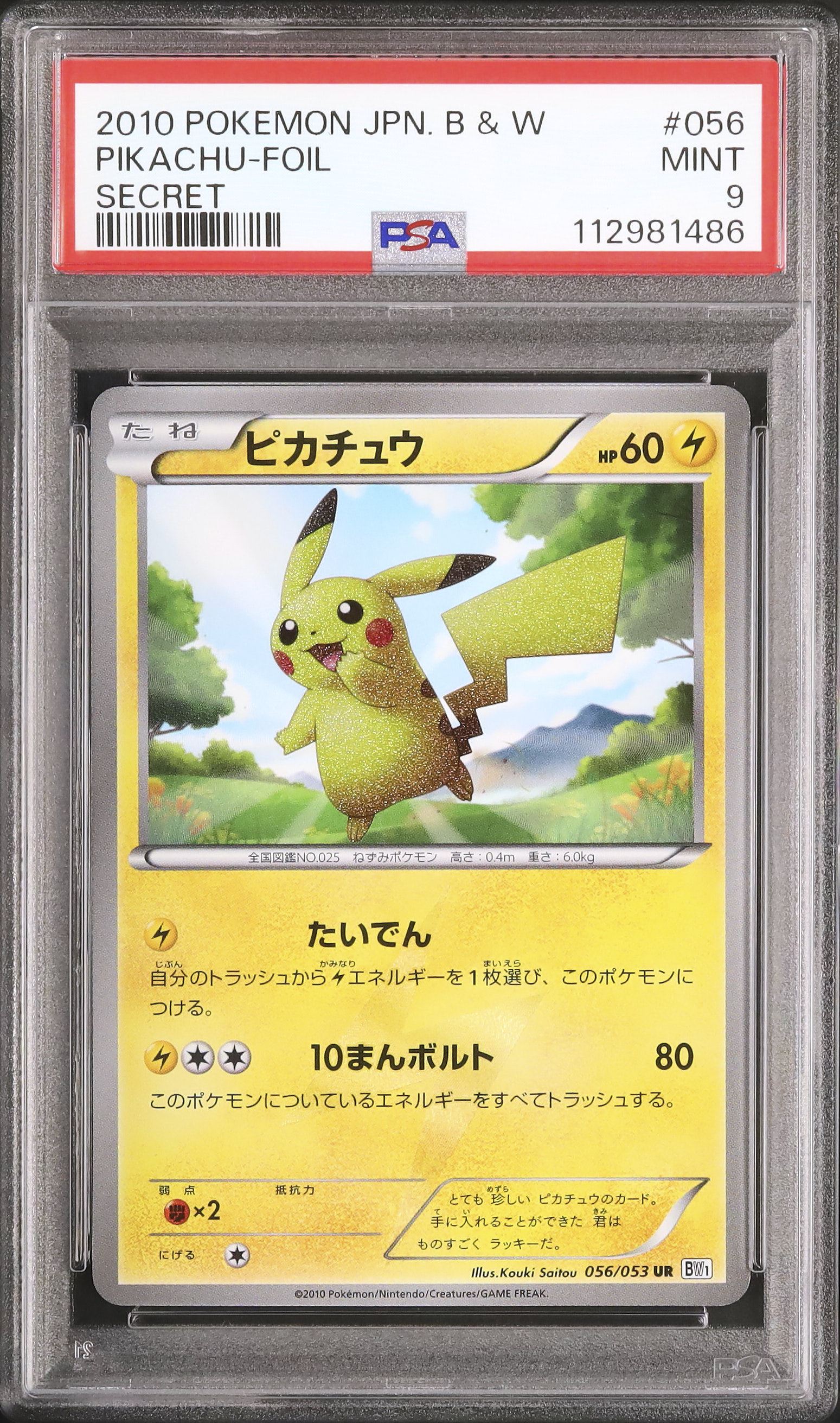 【良品・9種コンプ】世界ピカチュウコレクション フルコンプ ポケカ 2010 2010 ピカチュウ PSA 9 ホイル - カルドバ