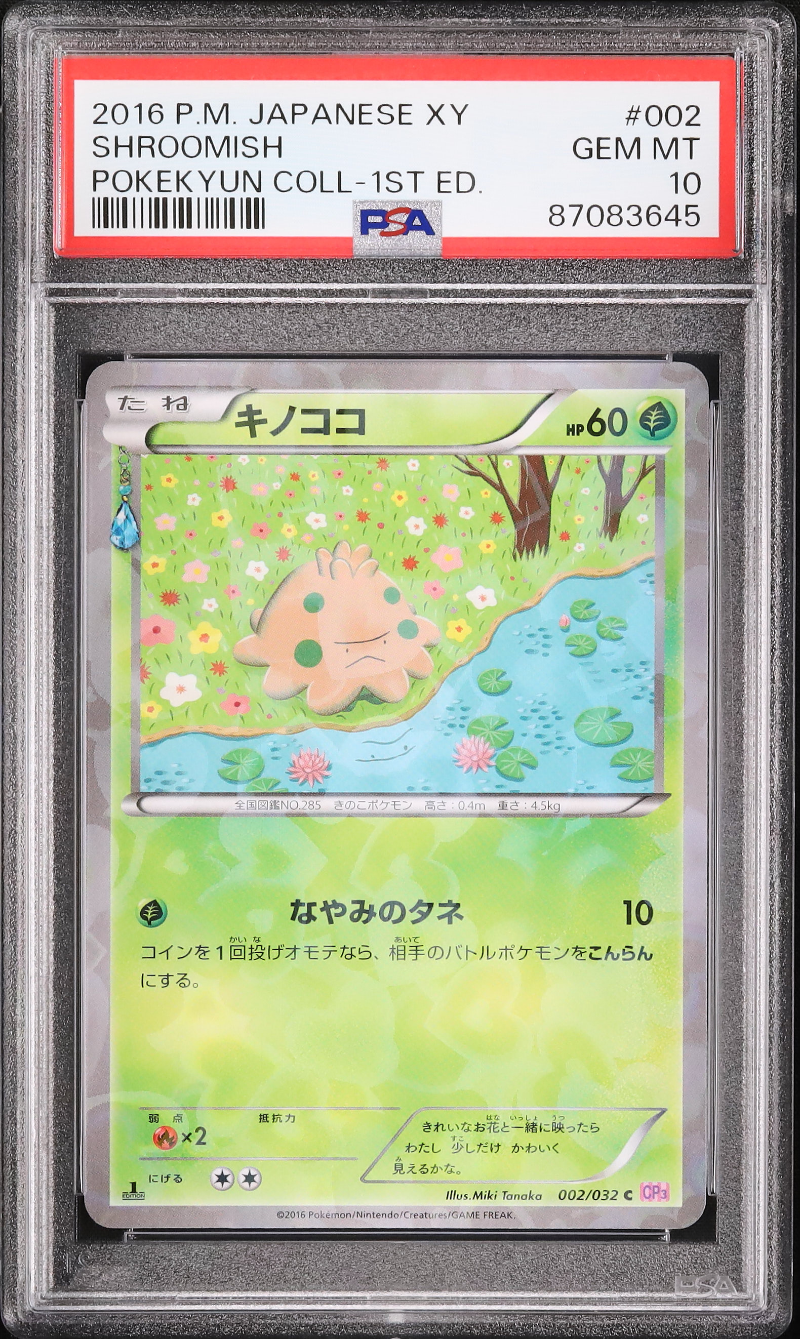 2016 キノココ PSA 10 1st エディション - カルドバ