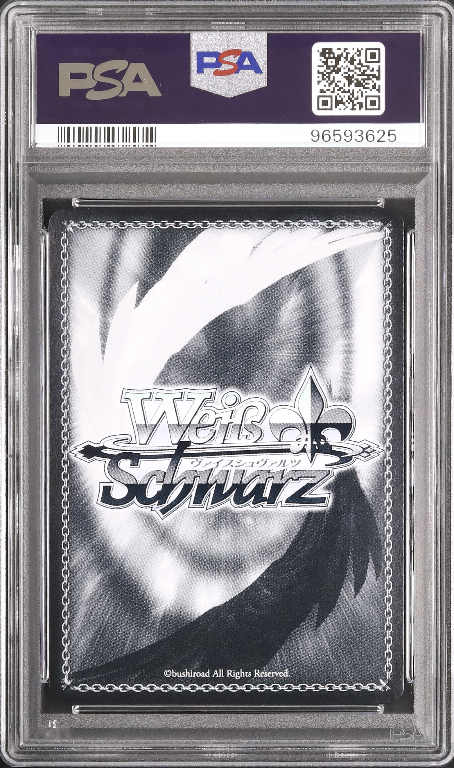 2024 連河チェリノ PSA 10 箔押しサイン - カルドバ