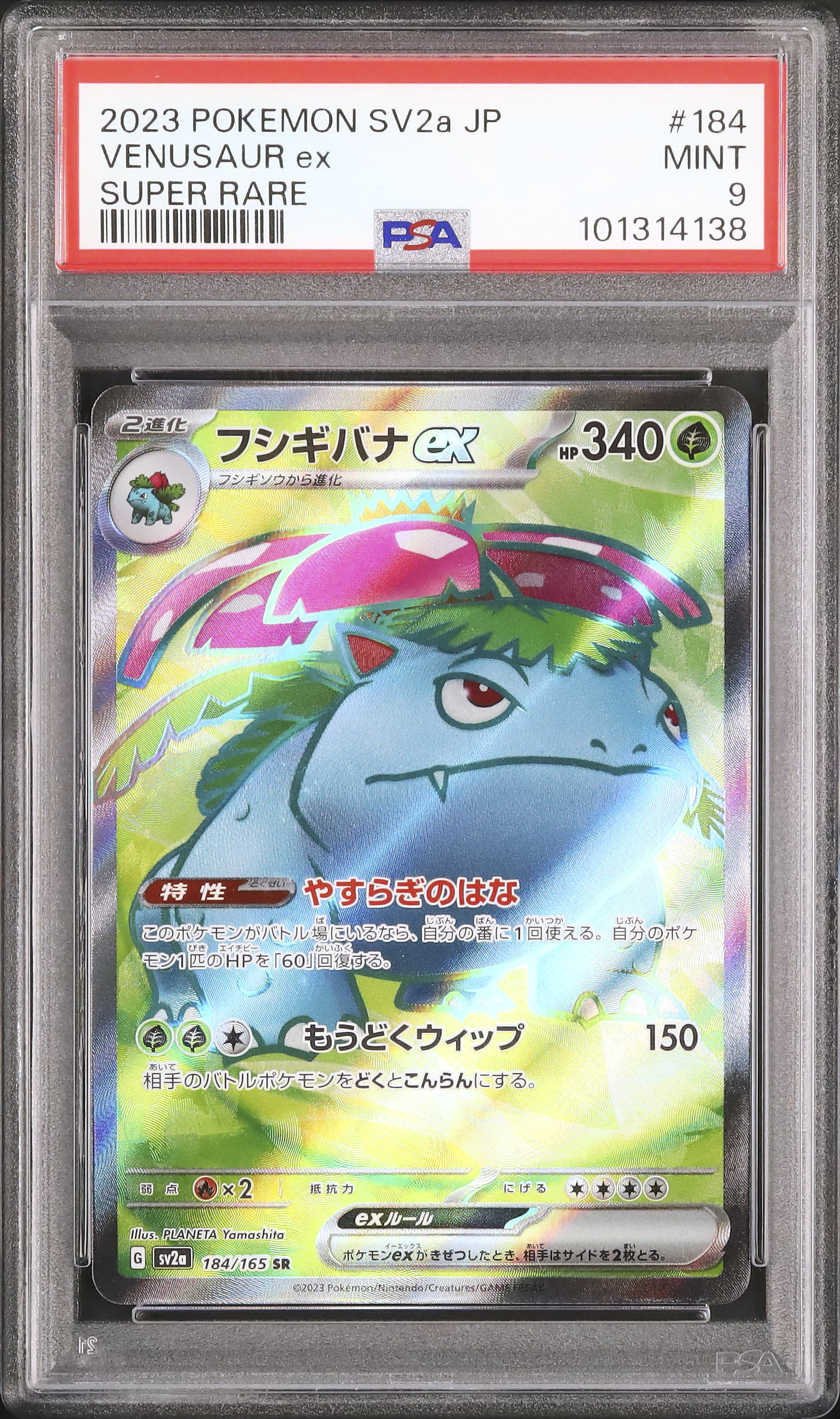 2023 フシギバナex PSA 9 - カルドバ