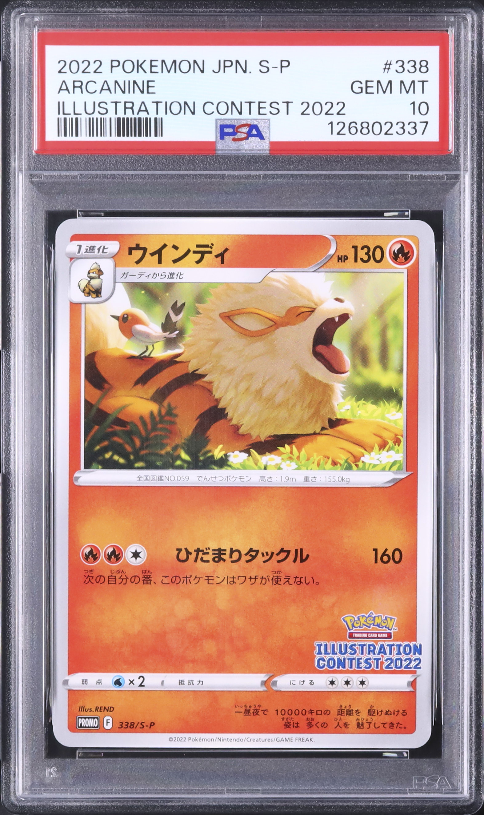 2022 ウインディ PSA 10 - カルドバ