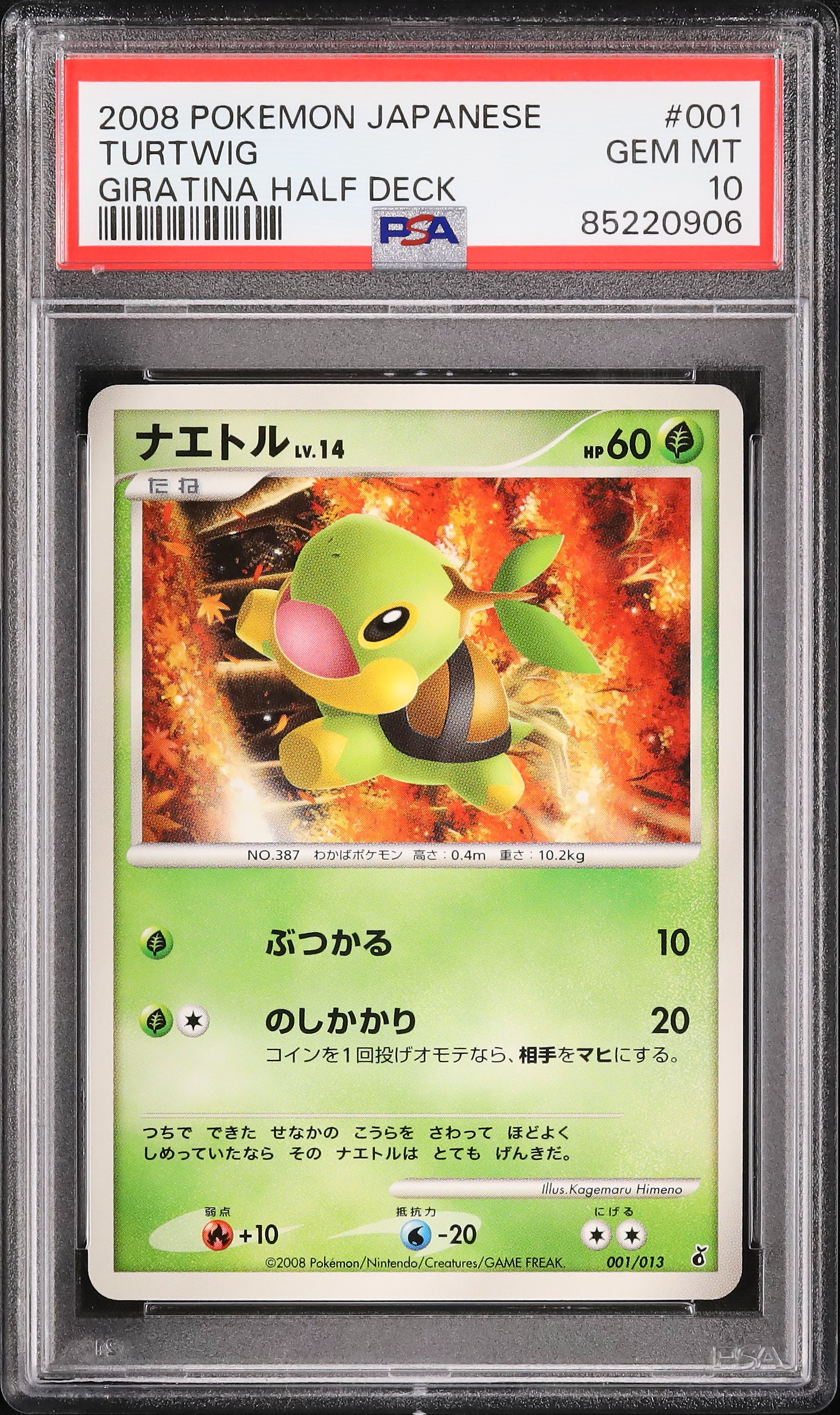 2008 ナエトル PSA 10 - カルドバ