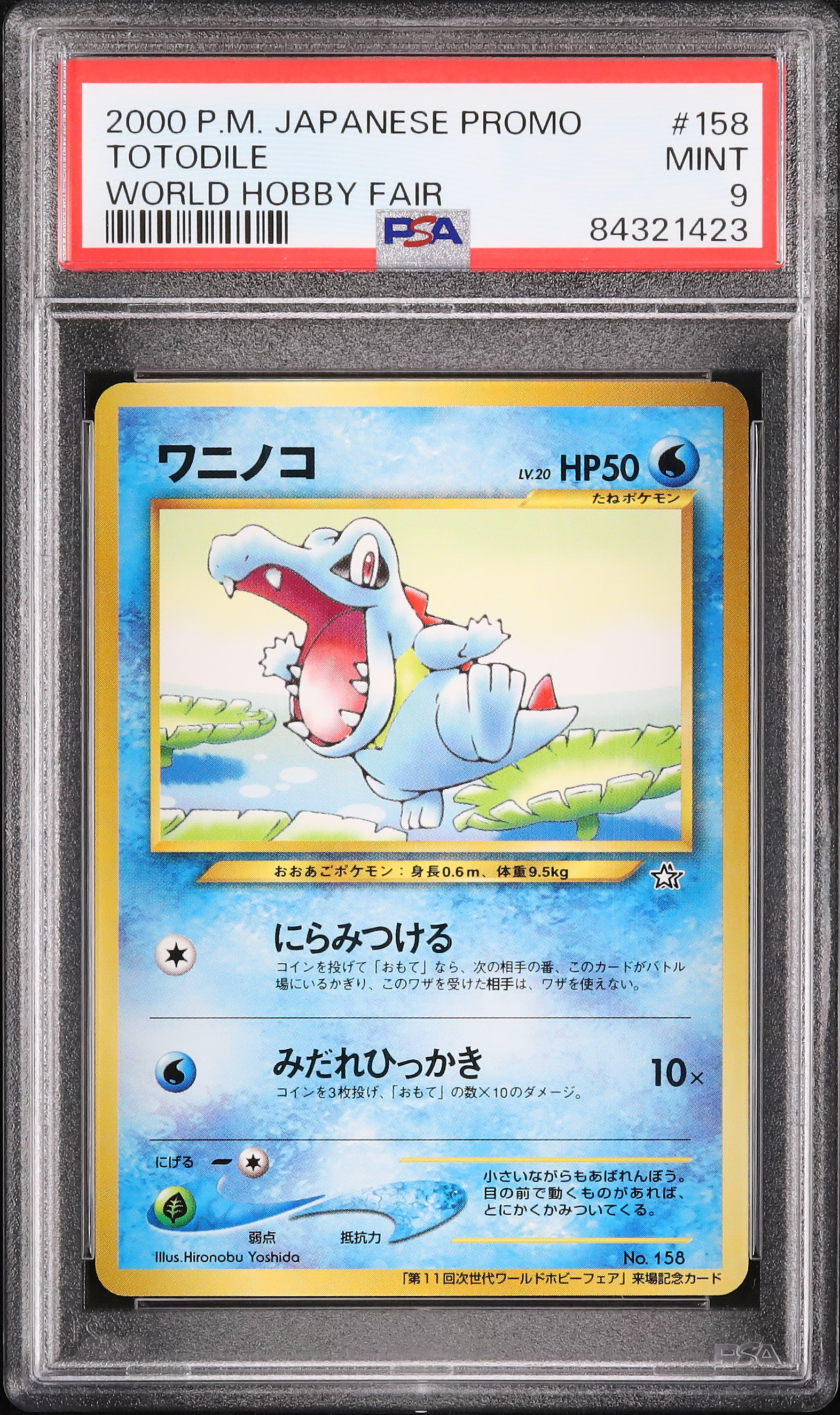 2000 ワニノコ PSA 9 - カルドバ