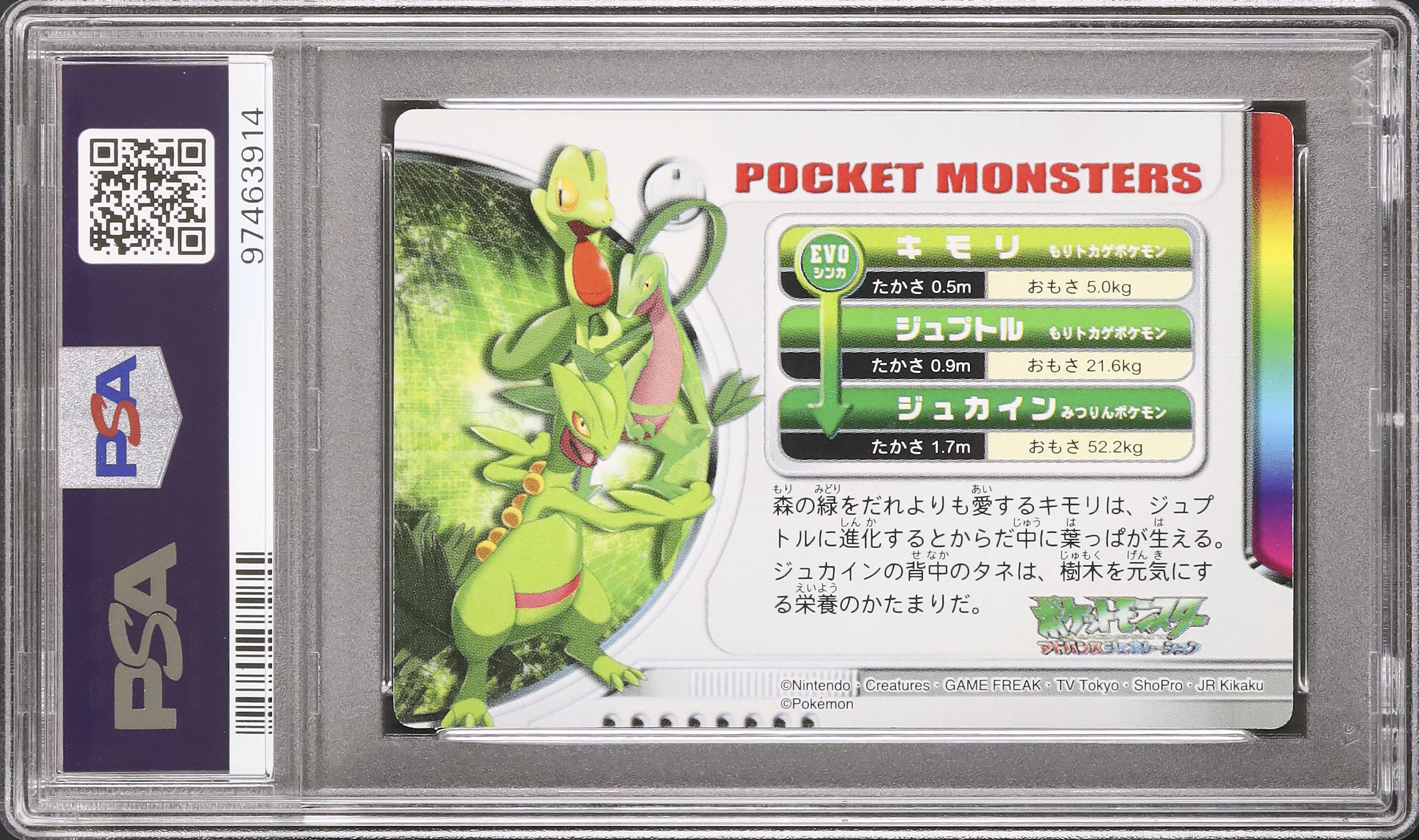 2003 キモリ/ジュプトル/ジュカイン PSA 8 3D 進化カード - カルドバ