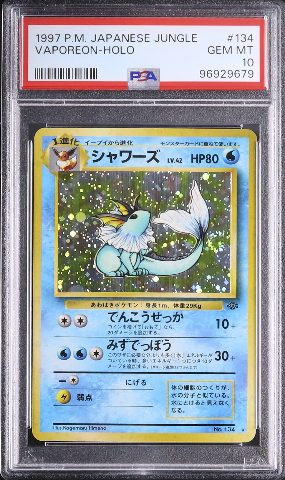 最安 1997 ポケモン カードダス シャワーズ VAPOREON PSA10 1997 シャワーズ PSA 10 ホロ - カルドバ