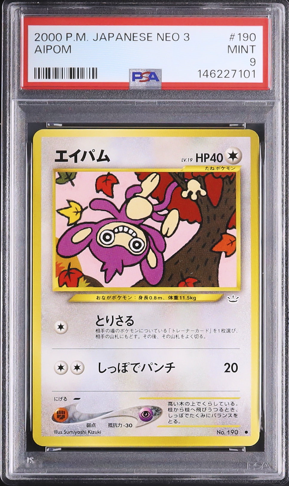 2000年代初頭のポケモンカードゲーム2000年に発売された★neo 2000 エイパム PSA 9 - カルドバ