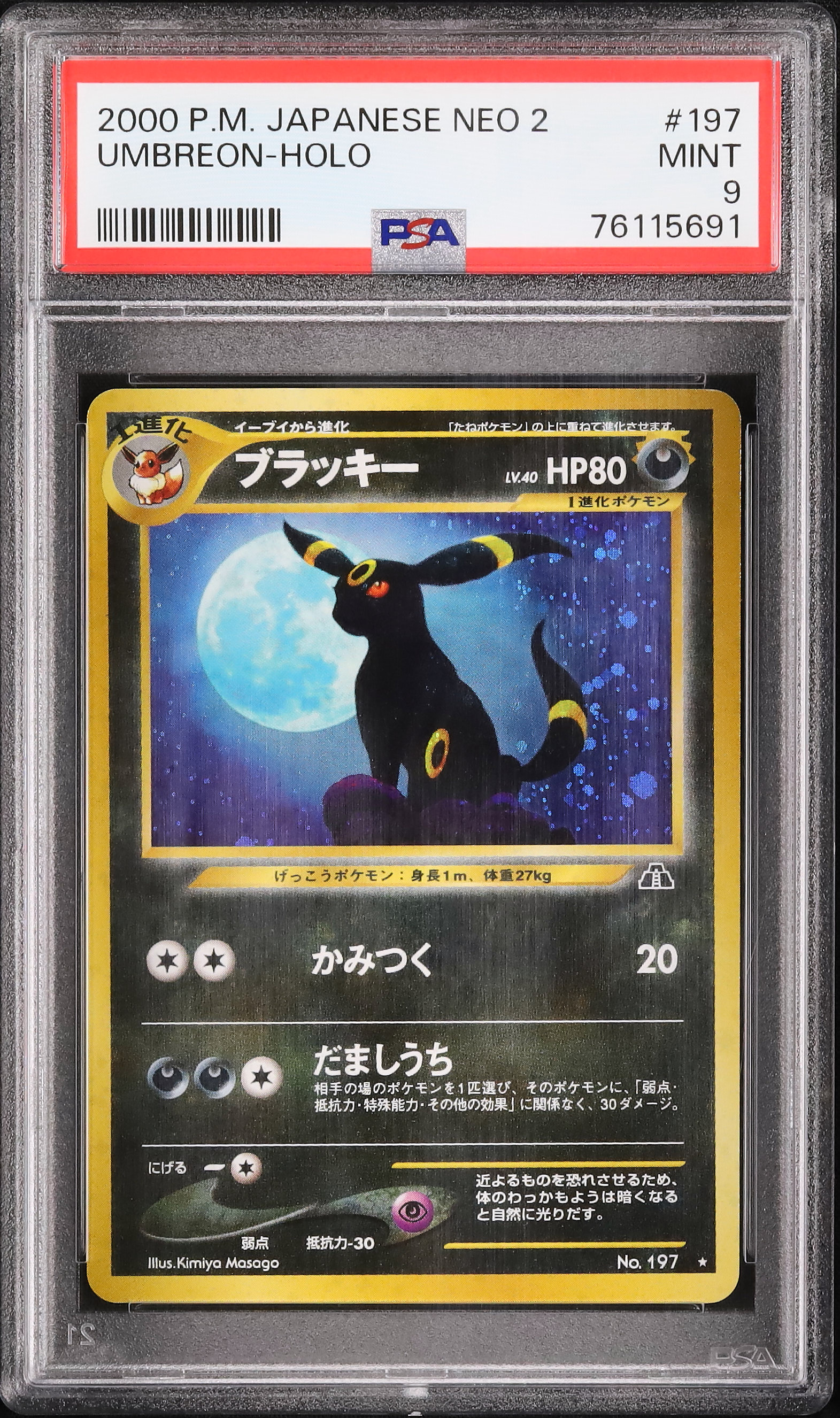 フォローで割引！ ポケモンカード PSA6 ブラッキーｅｘ HOLO ホロ A 2000 ブラッキー PSA 9 ホロ - カルドバ