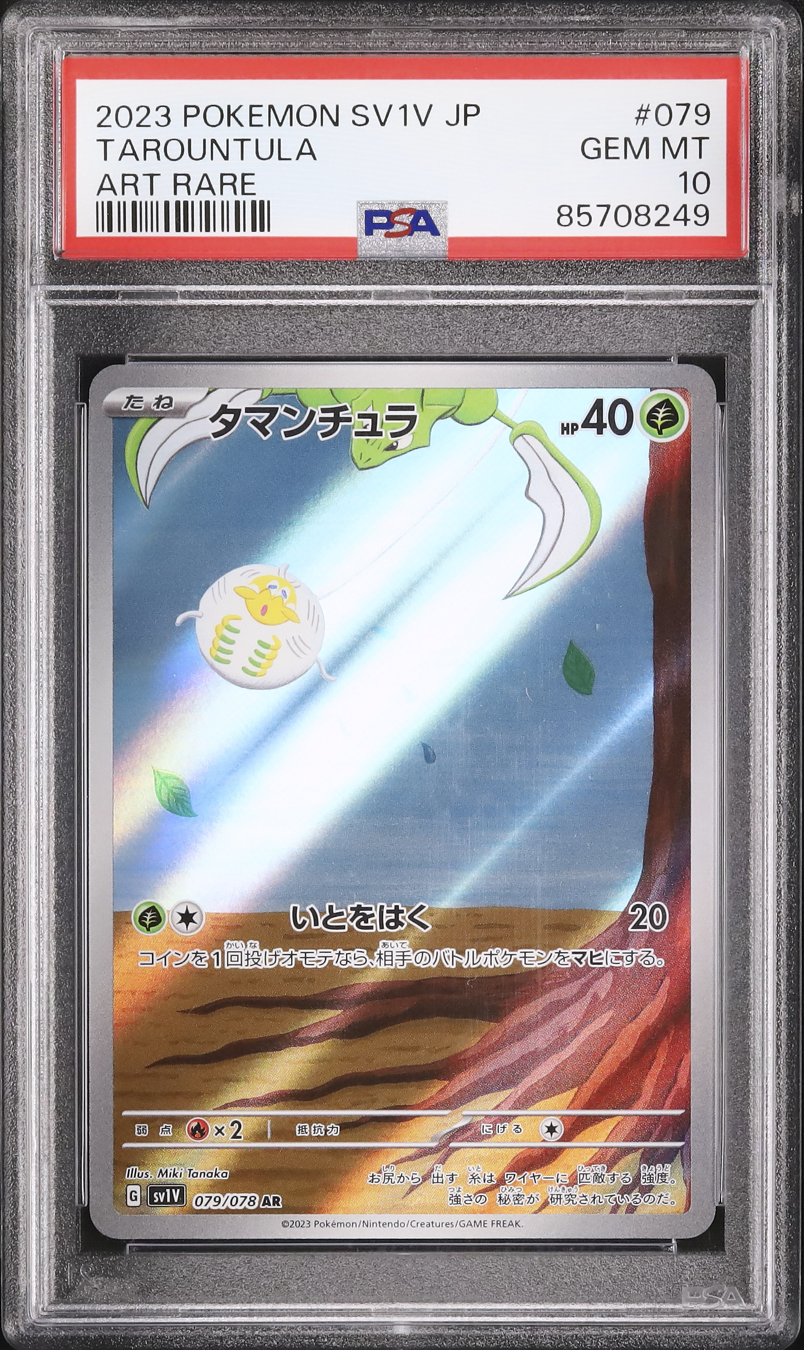 2023 タマンチュラ PSA 10 - カルドバ