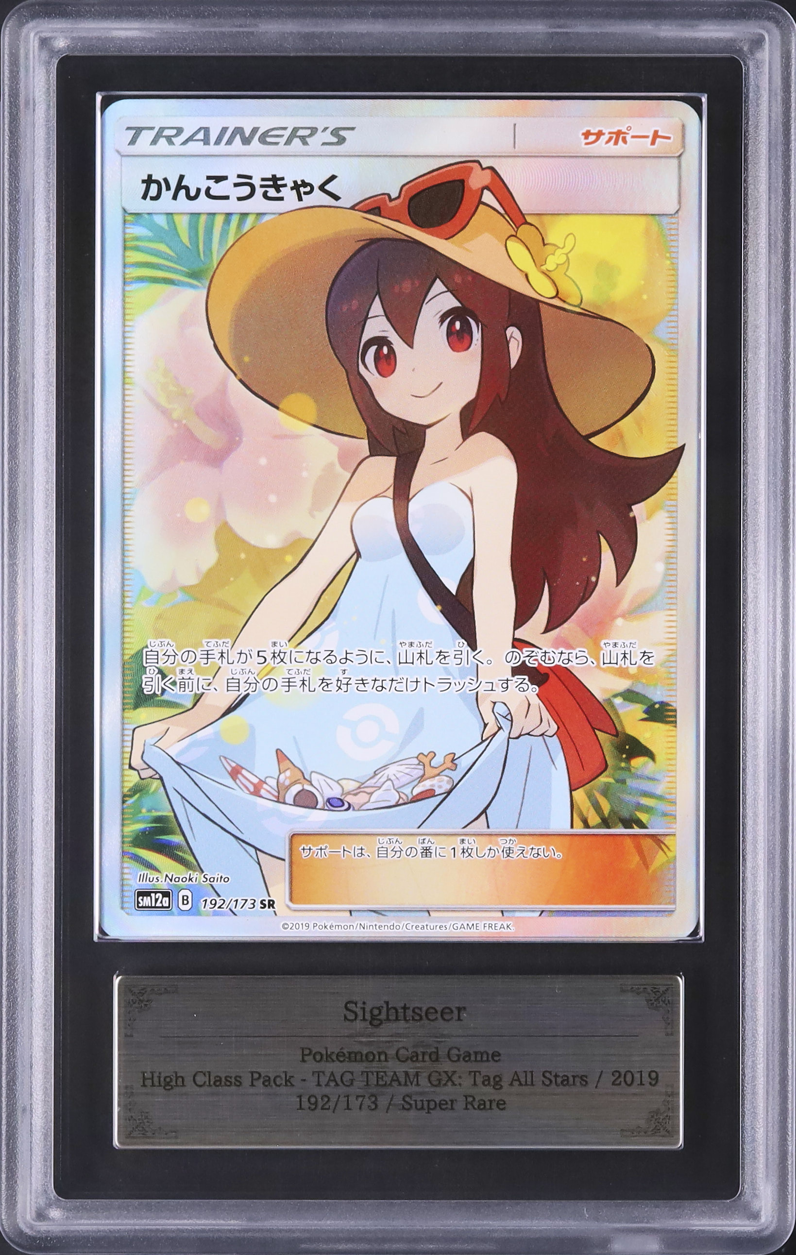 2019 Sightseer ARS 8 FA - Cardova Japan