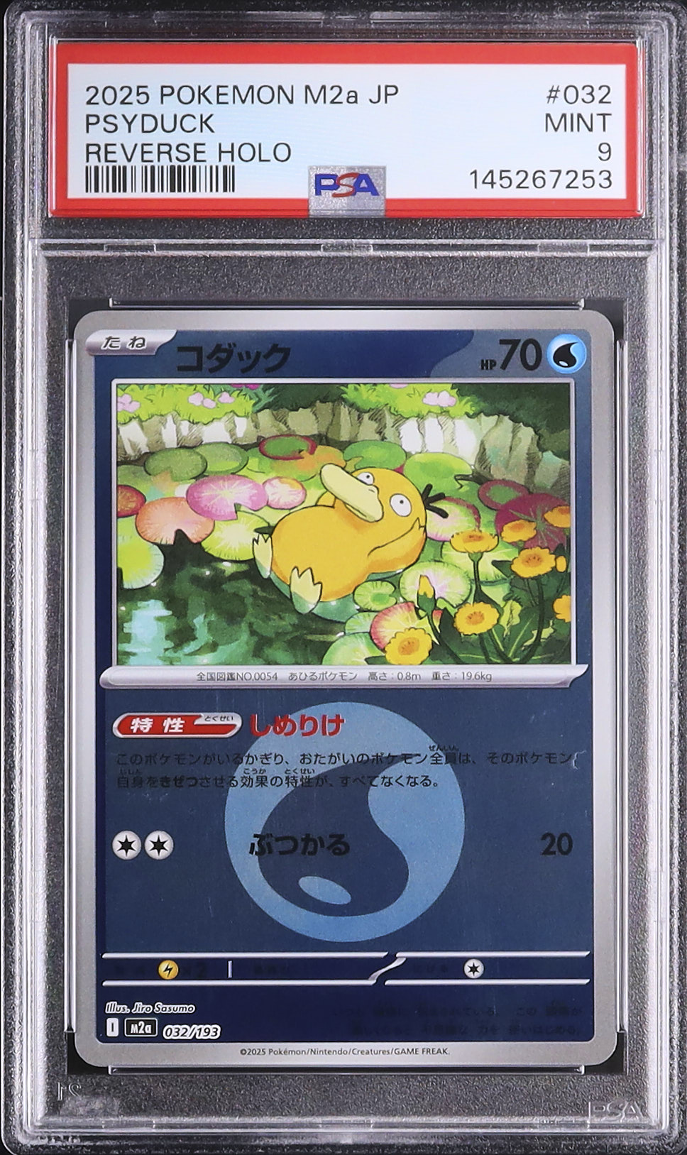 2025 コダック PSA 9 ミラー - カルドバ