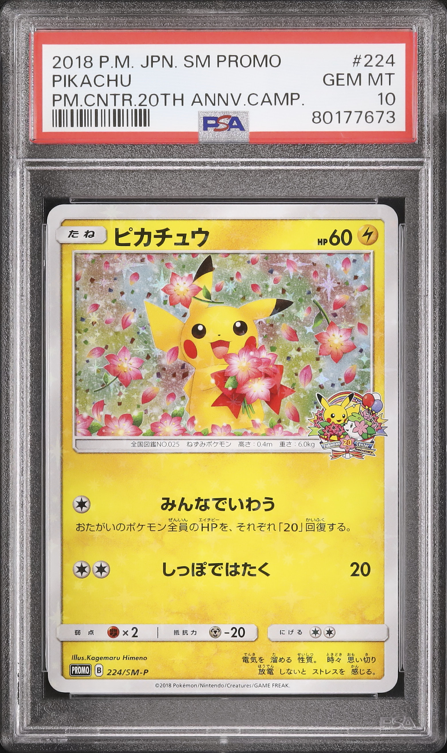 2018 Pikachu PSA 10 - Cardova Japan