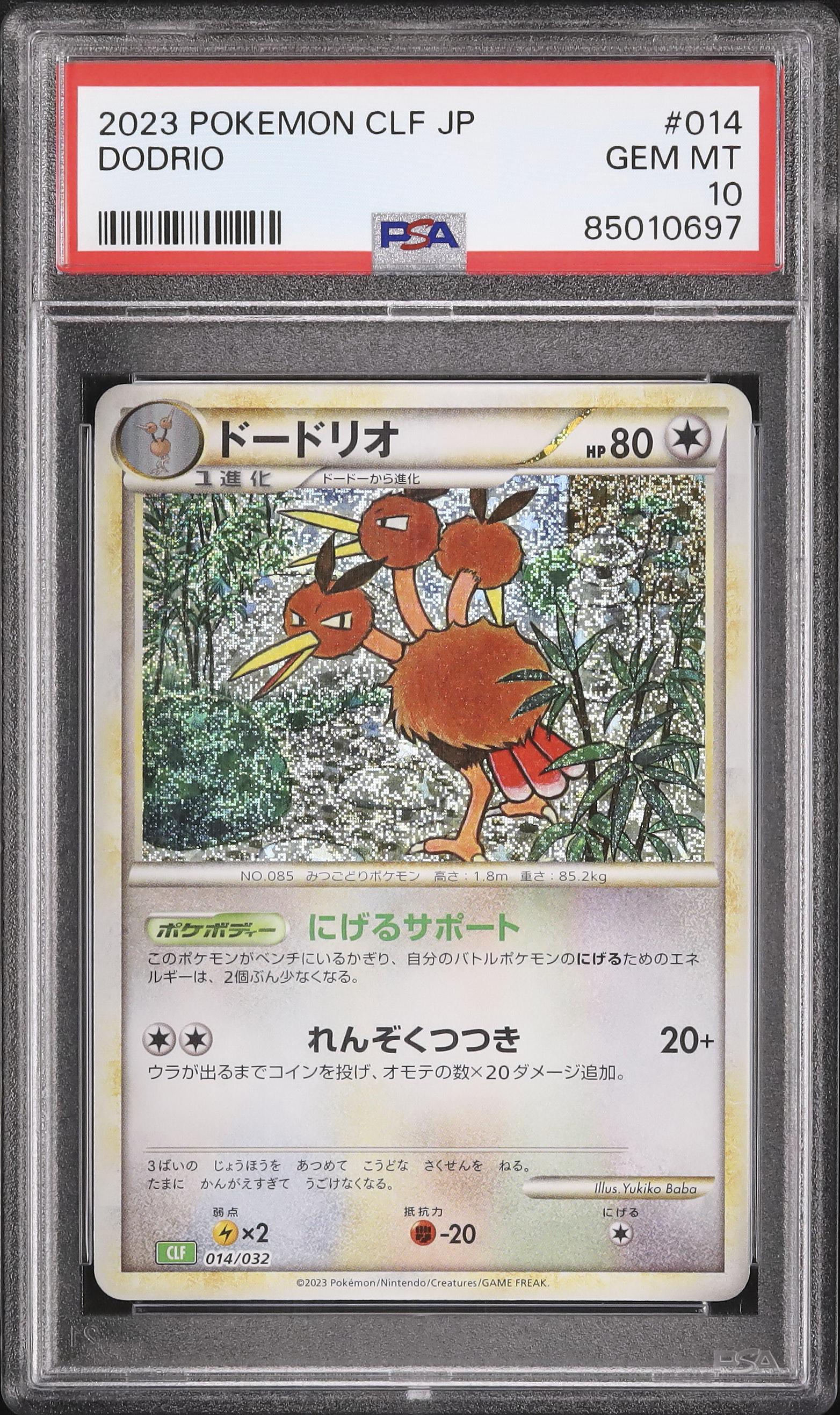 psa10 ドードリオカードe