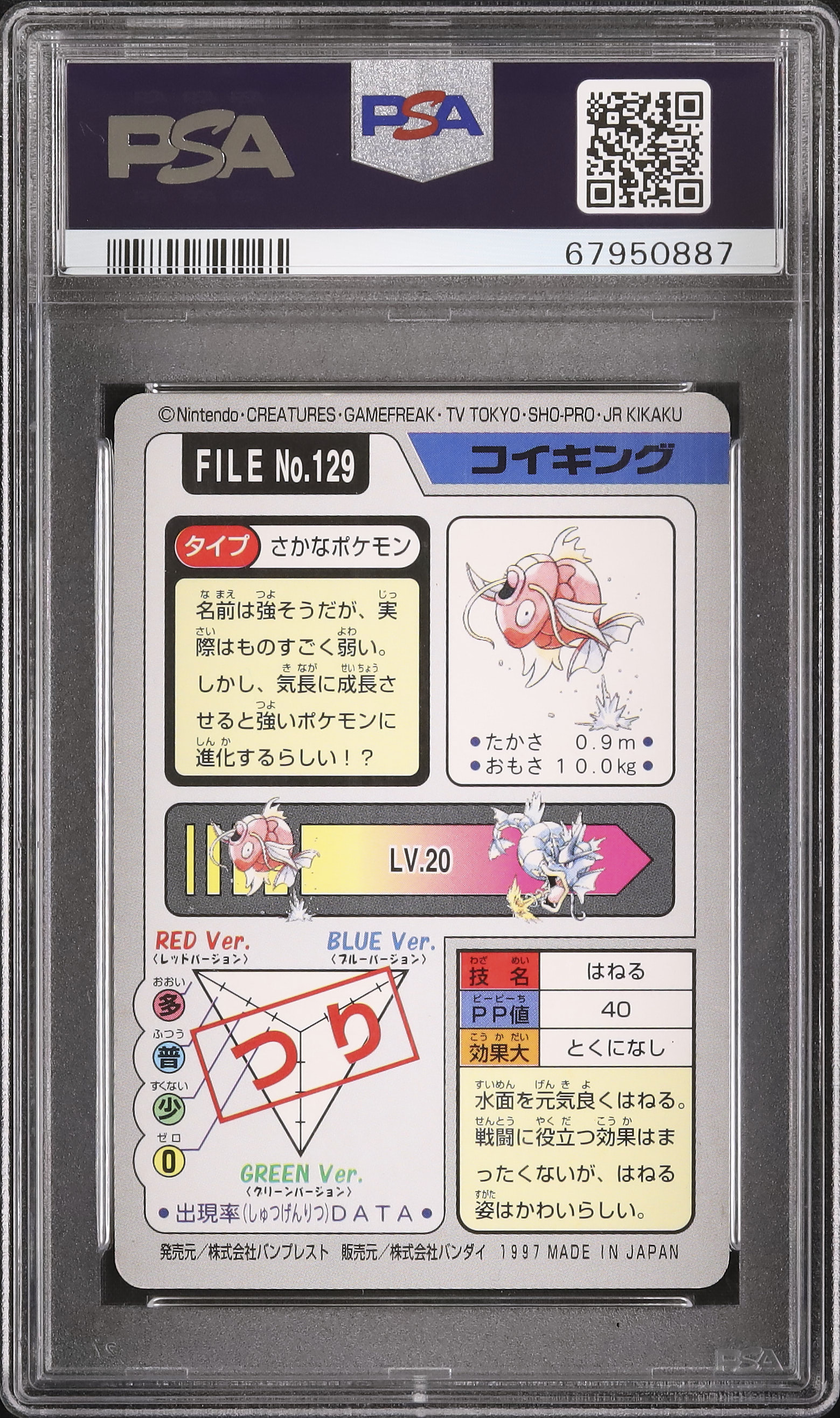 コイキング　カードダス　psa8 1997 コイキング PSA 8 - カルドバ