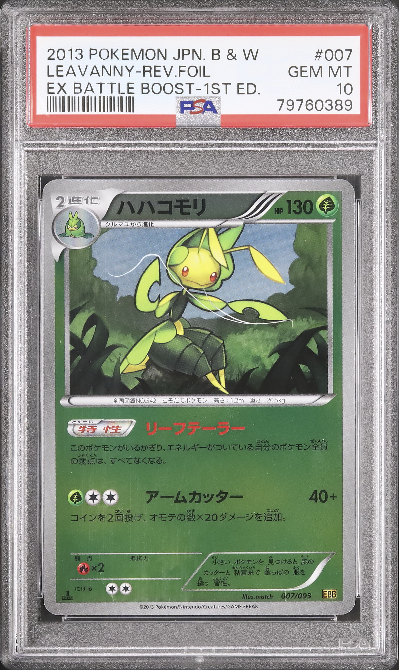 2013 ハハコモリ PSA 10 1st エディション - カルドバ