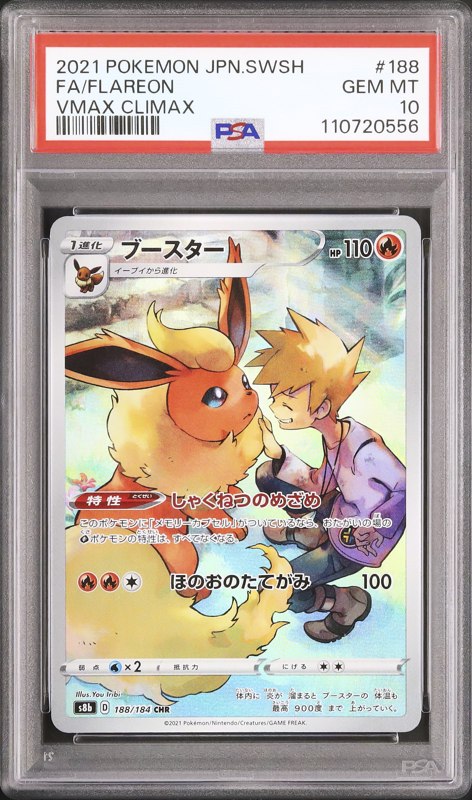 PSA9 /アンリミ プラズマ団 ブースター BW8/検索 PSA10 ブイズ PSA9 /アンリミ プラズマ団 ブースター BW8/検索 PSA10 ブイズ