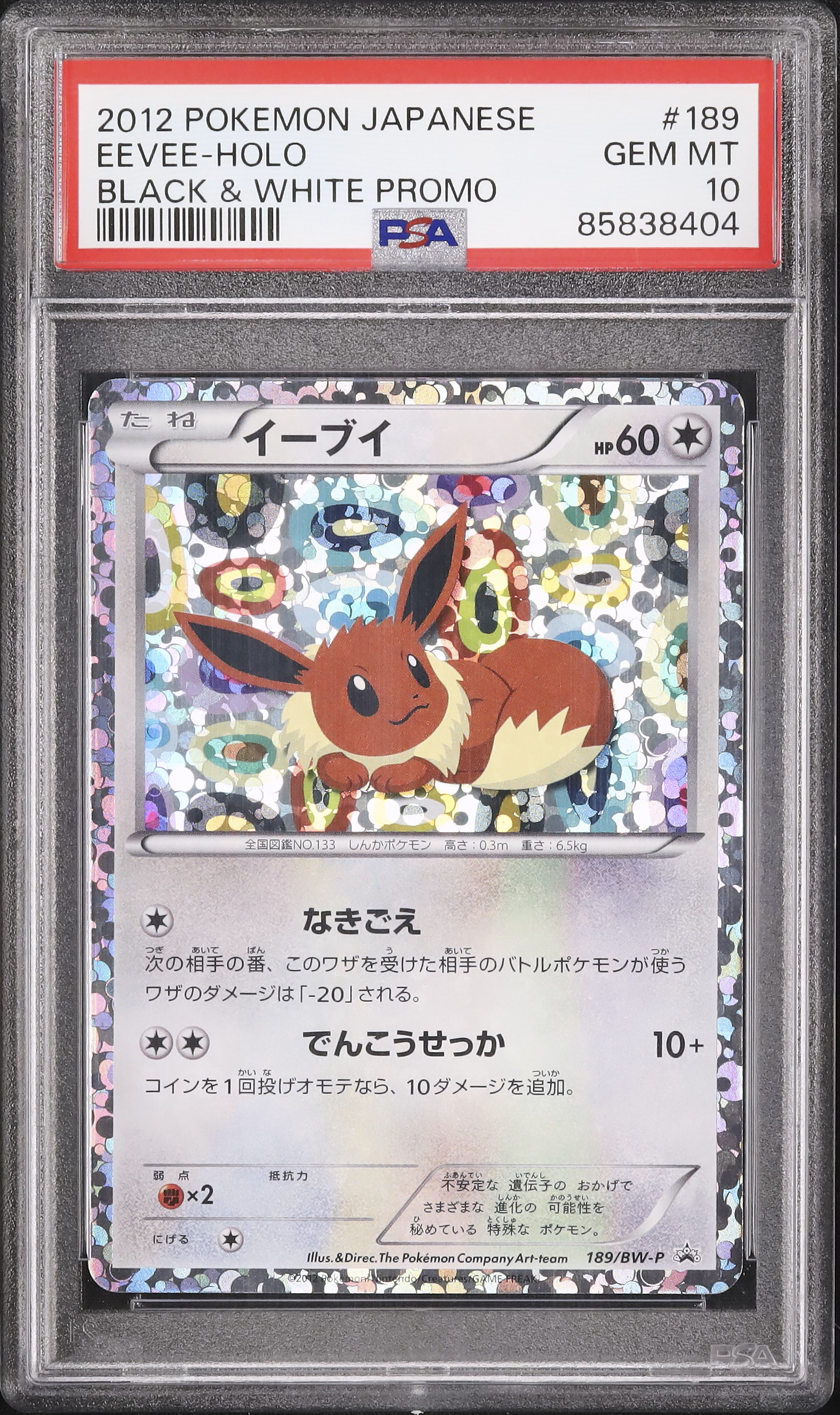 イーブイ イーブイコレクション 189 PSA10 イーブイ イーブイコレクション 189 PSA10 【公式通販】