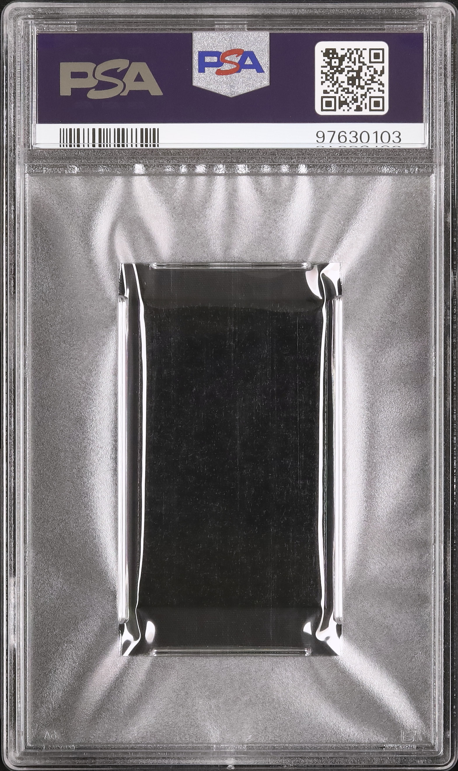 2016 Goomy/Noibat PSA 10 - カルドバ