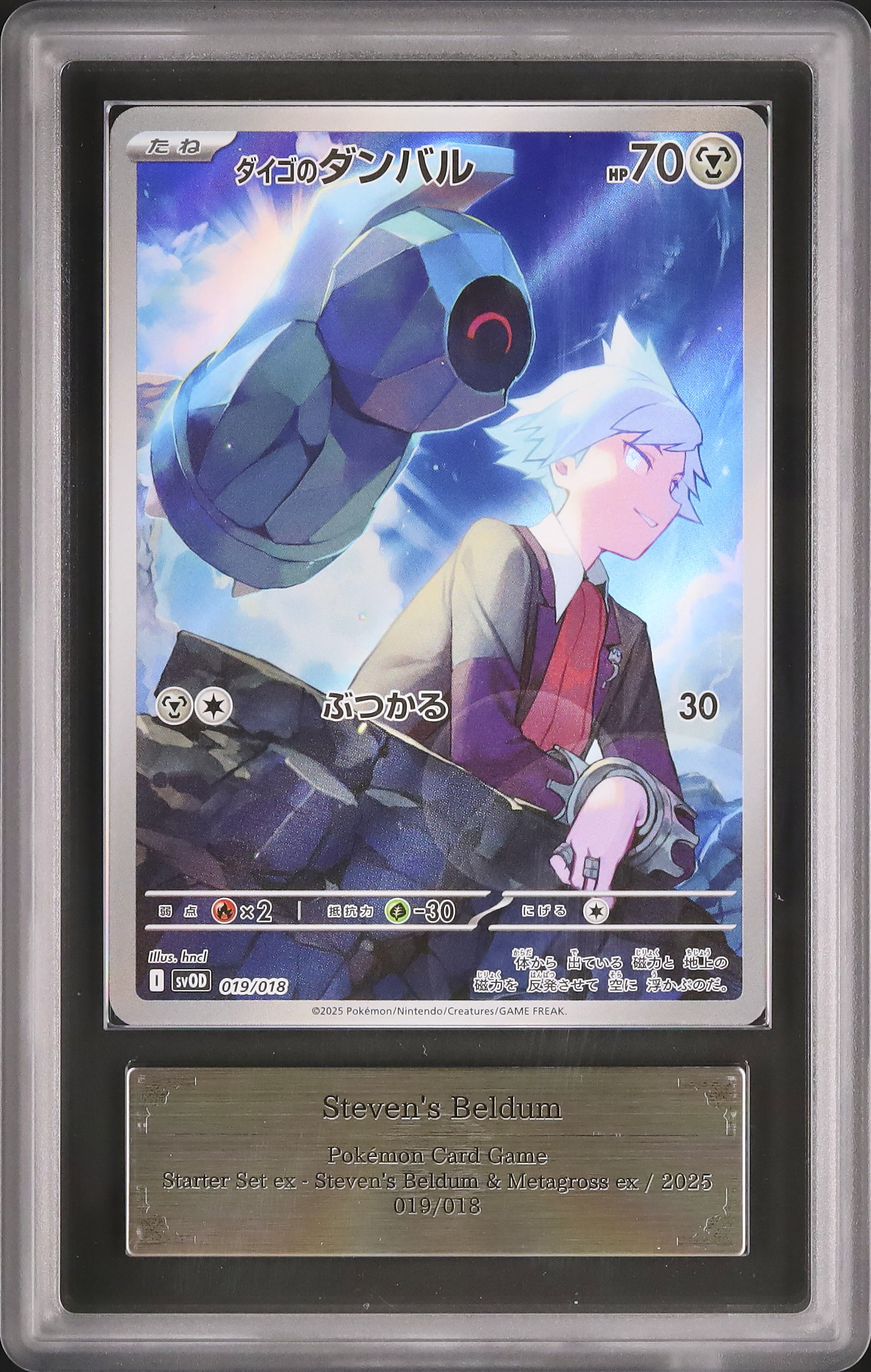 2025 Steven's Beldum ARS 10 AR - Cardova Japan