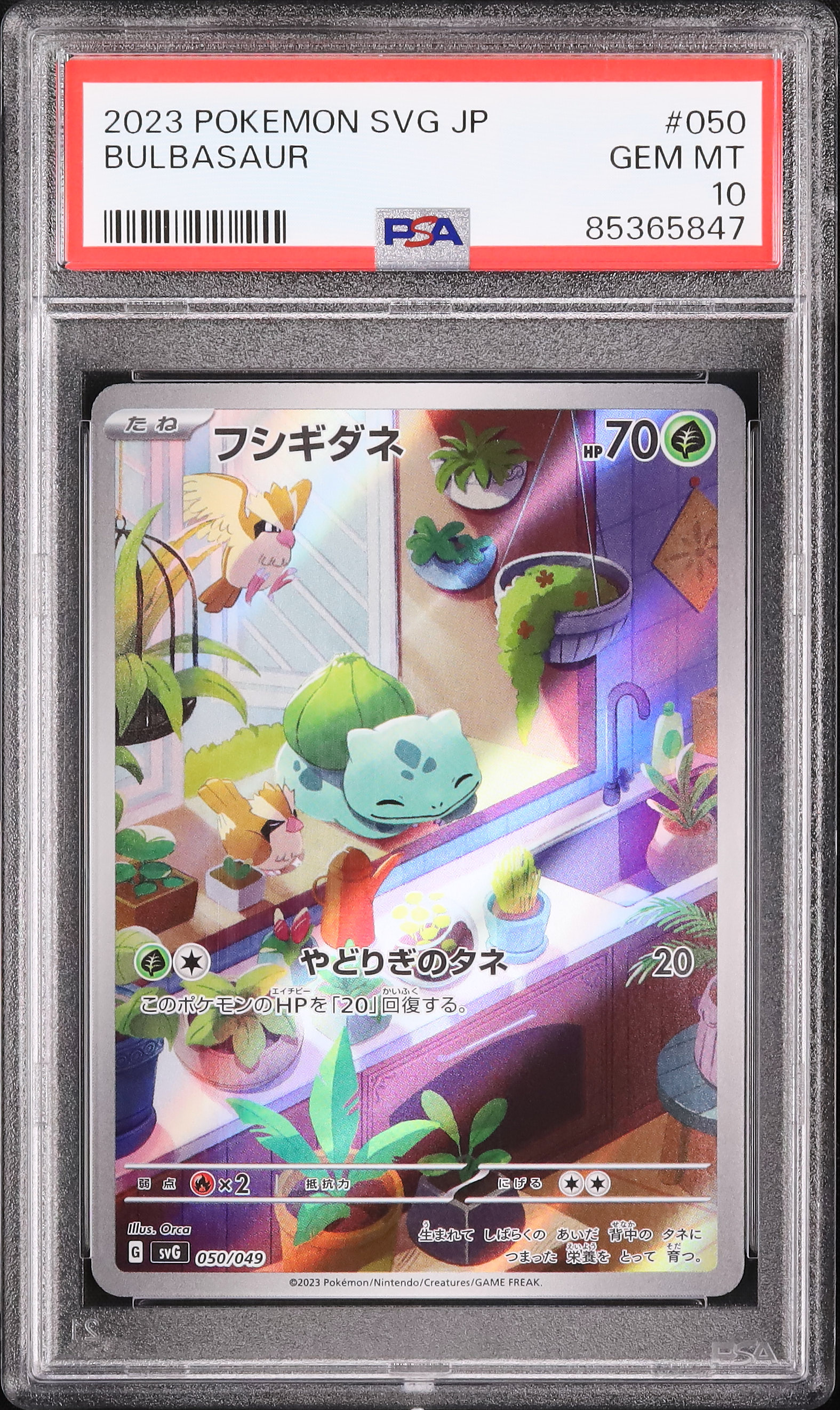 2023 フシギダネ PSA 10 AR仕様 - カルドバ
