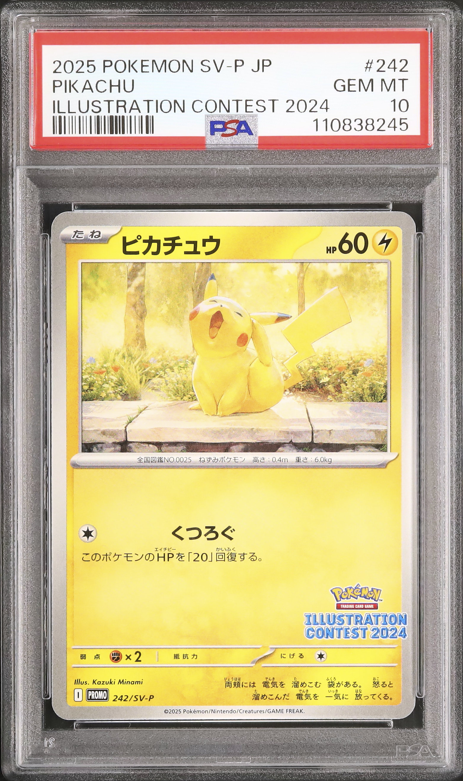2025 ピカチュウ イラストレーション コンテスト psa10 2025 ピカチュウ PSA 10 - カルドバ