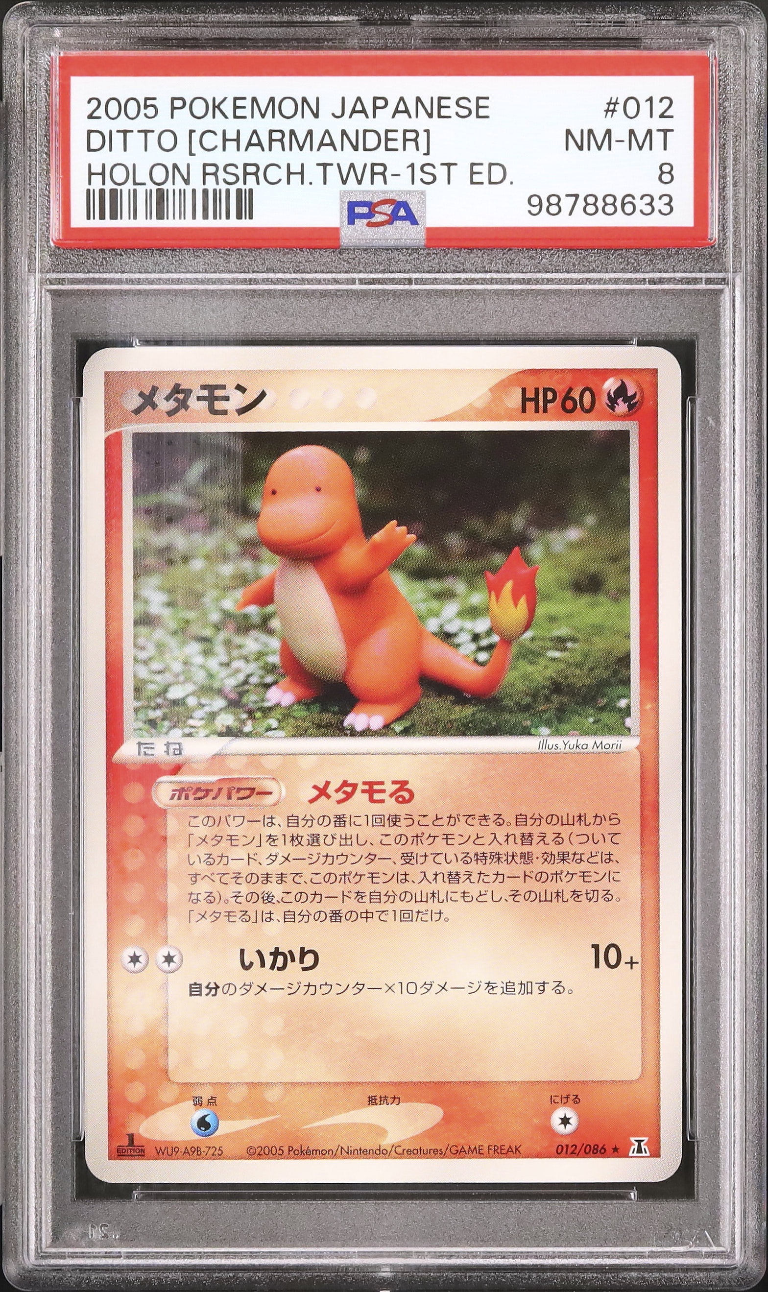 2005 メタモン(ヒトカゲ) PSA 8 1st エディション - カルドバ